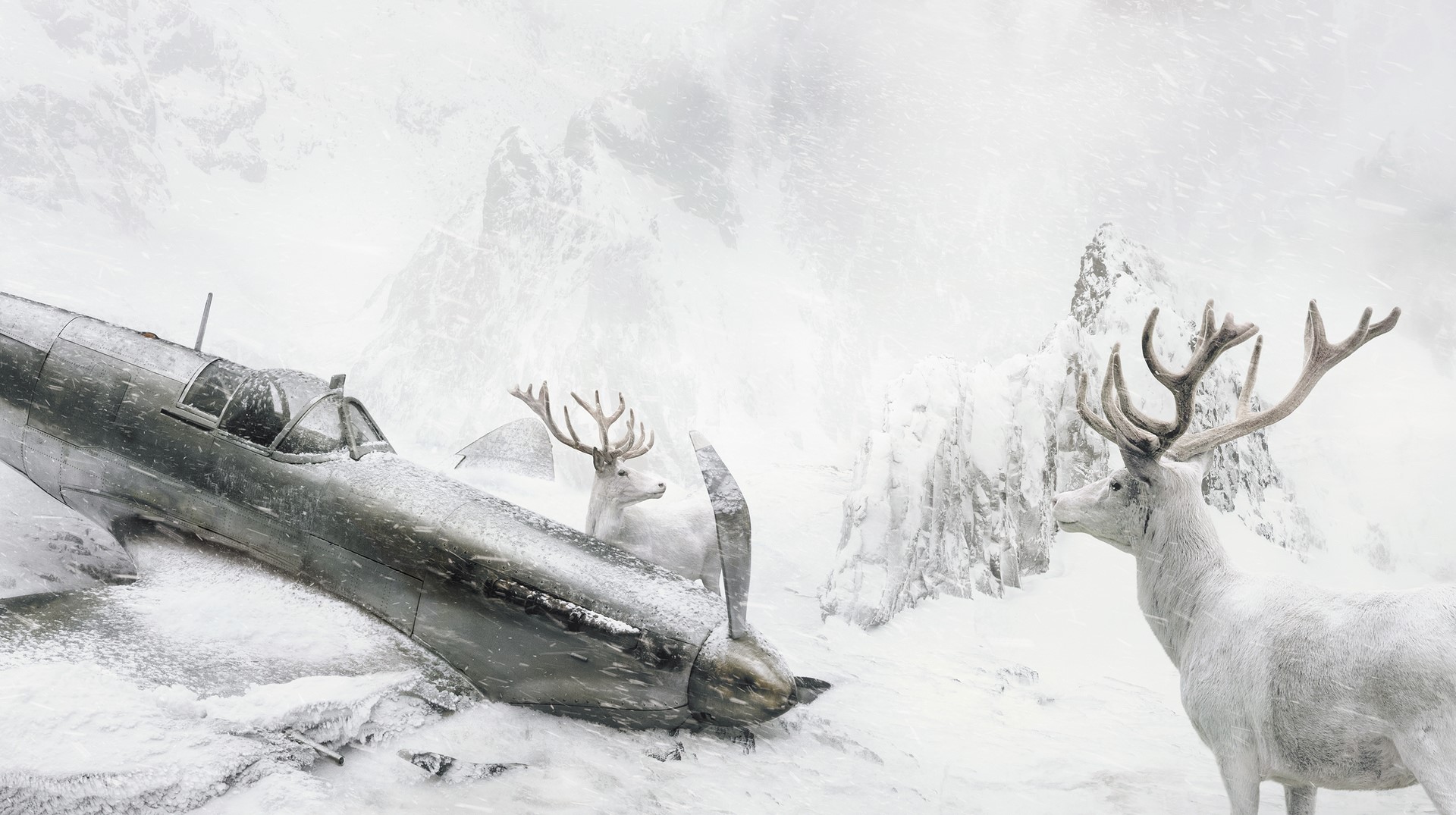 nature, landscape, Martin Stranka, Photoshop, animals, winter, snow, deer, airplane, crash, accidents, mountains, wreck, mist, snowing, HD Wallpaper