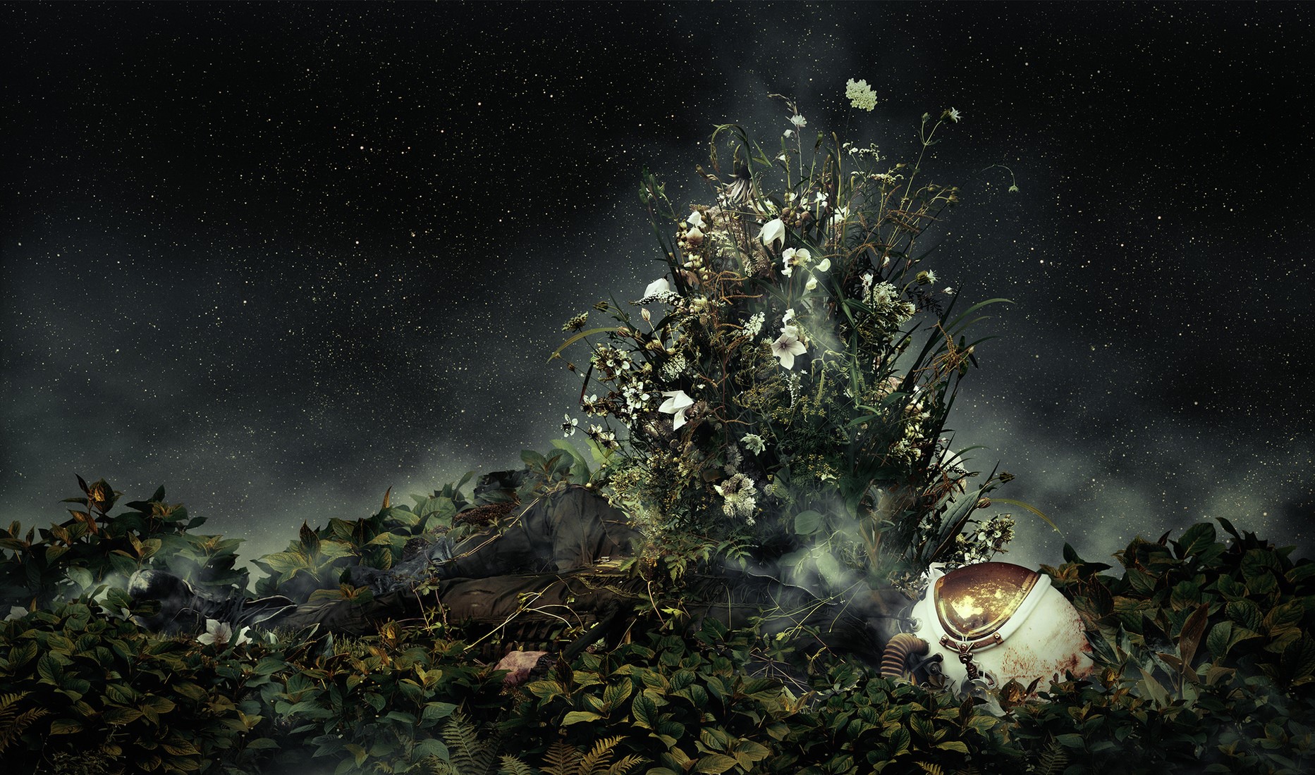 nature, landscape, Martin Stranka, Photoshop, pilot, helmet, stars, night, flowers, plants, leaves, mist, HD Wallpaper