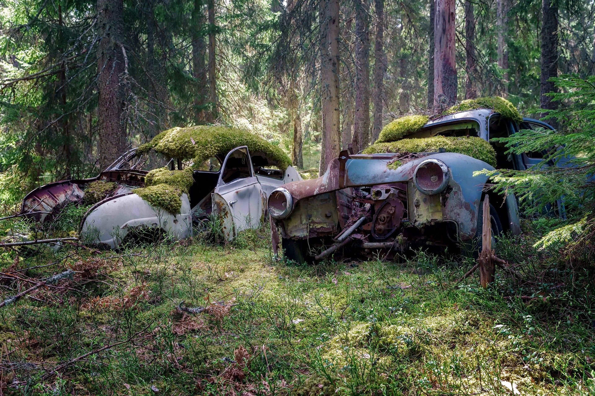 car, wreck, vehicle, trees, moss, HD Wallpaper
