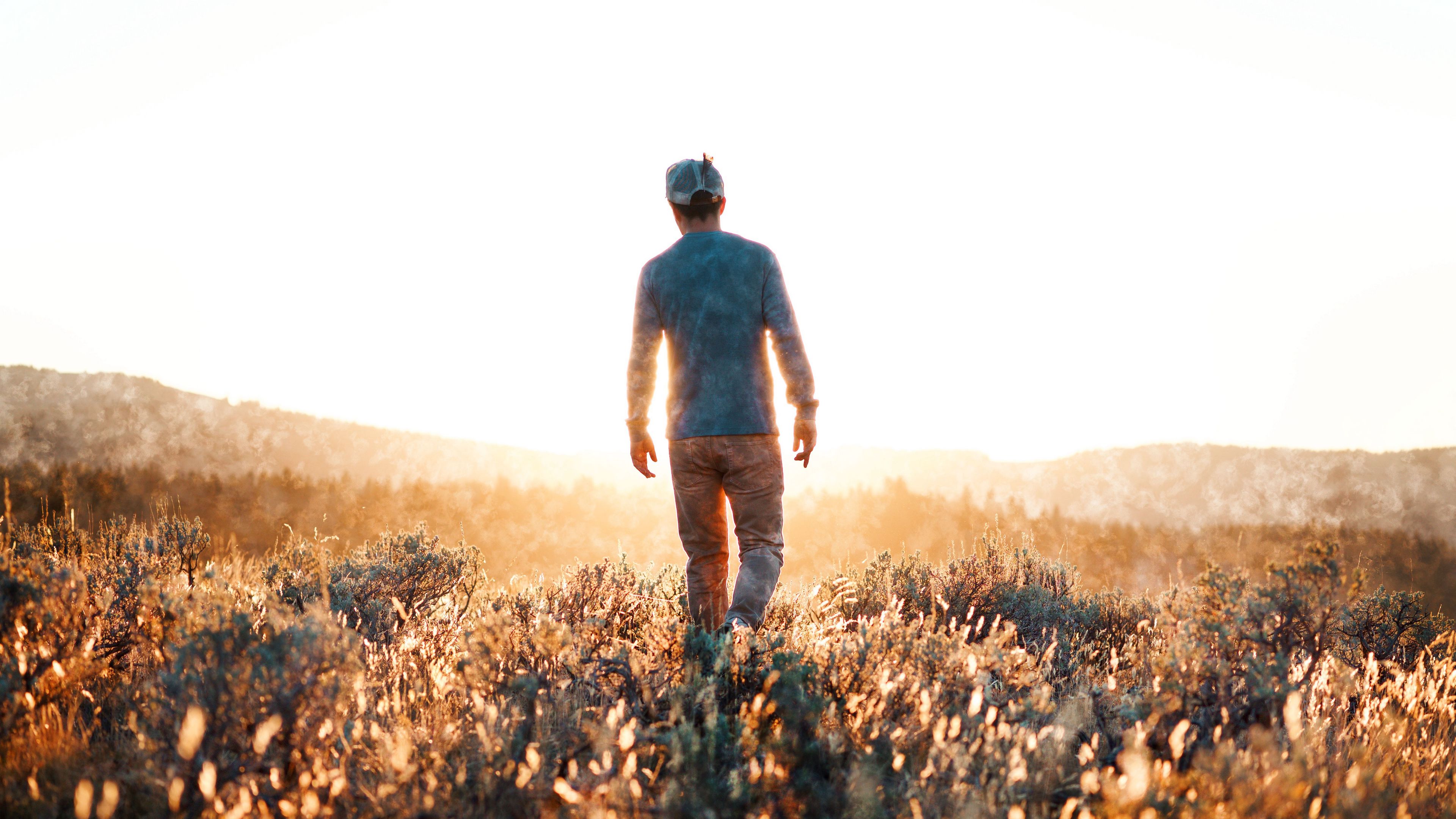 man, field, sunlight, light, bright, 4k, HD Wallpaper