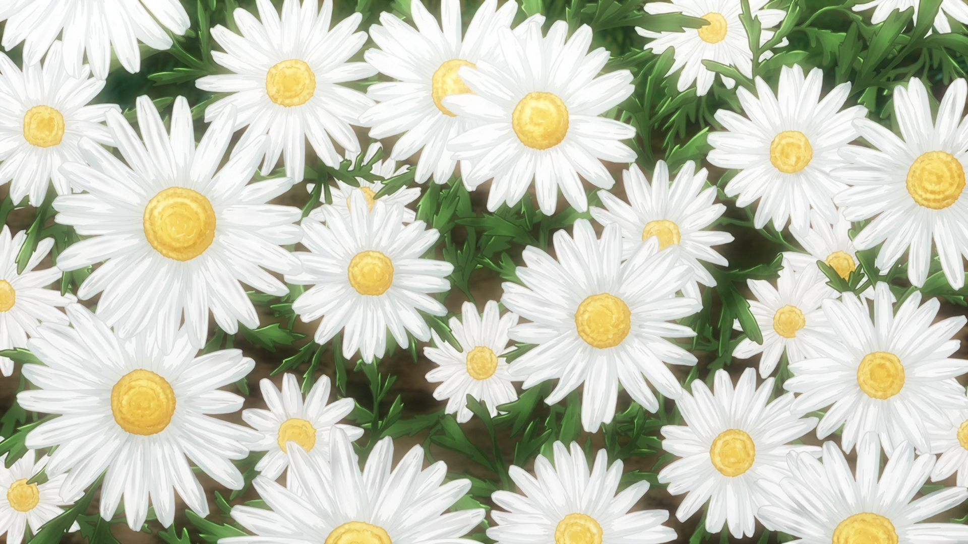 Non Non Biyori, flowers, anime, white flowers, plants, HD Wallpaper