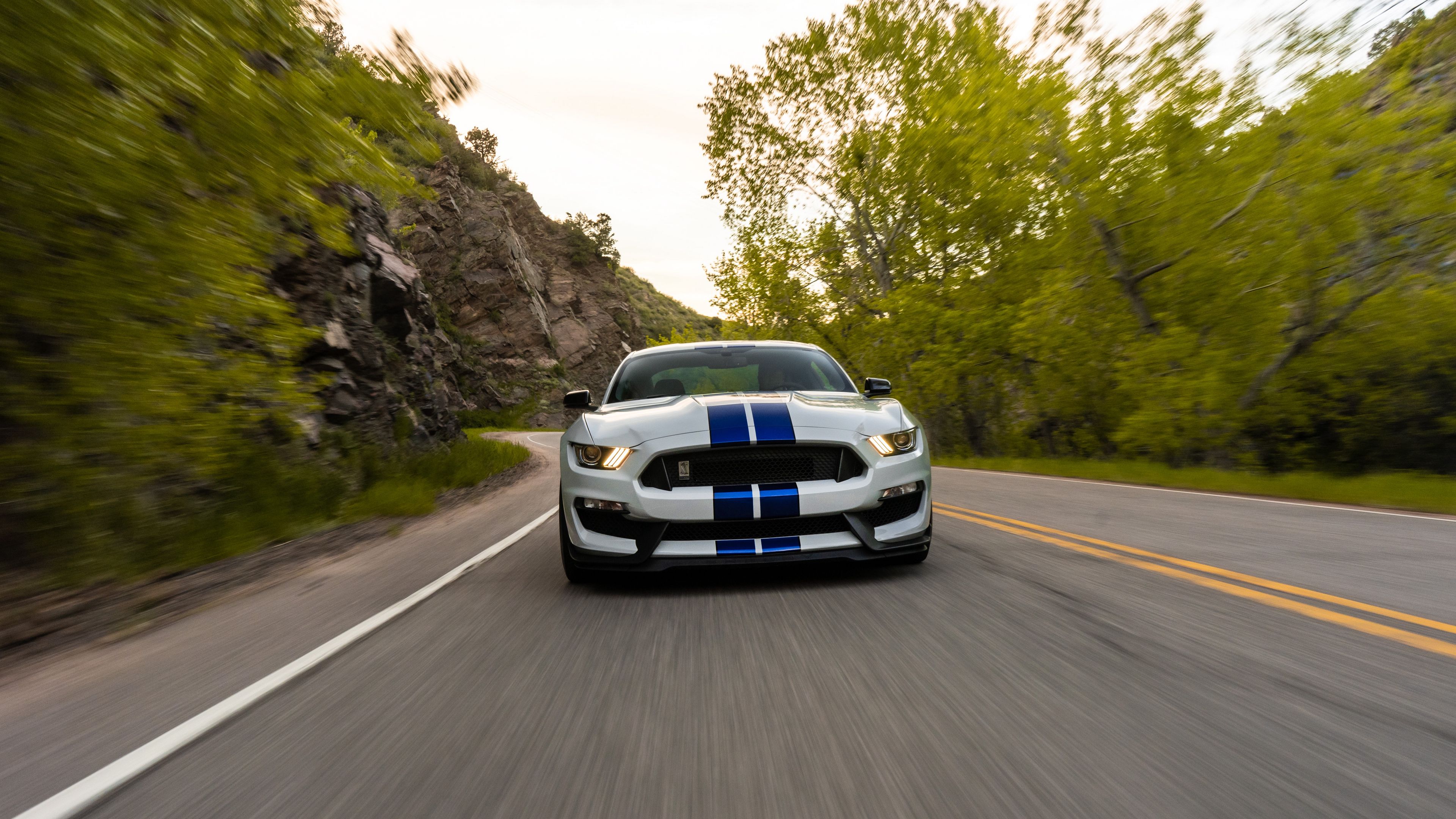 ford mustang gt350, ford, car, sportscar, road, speed, 4k, HD Wallpaper