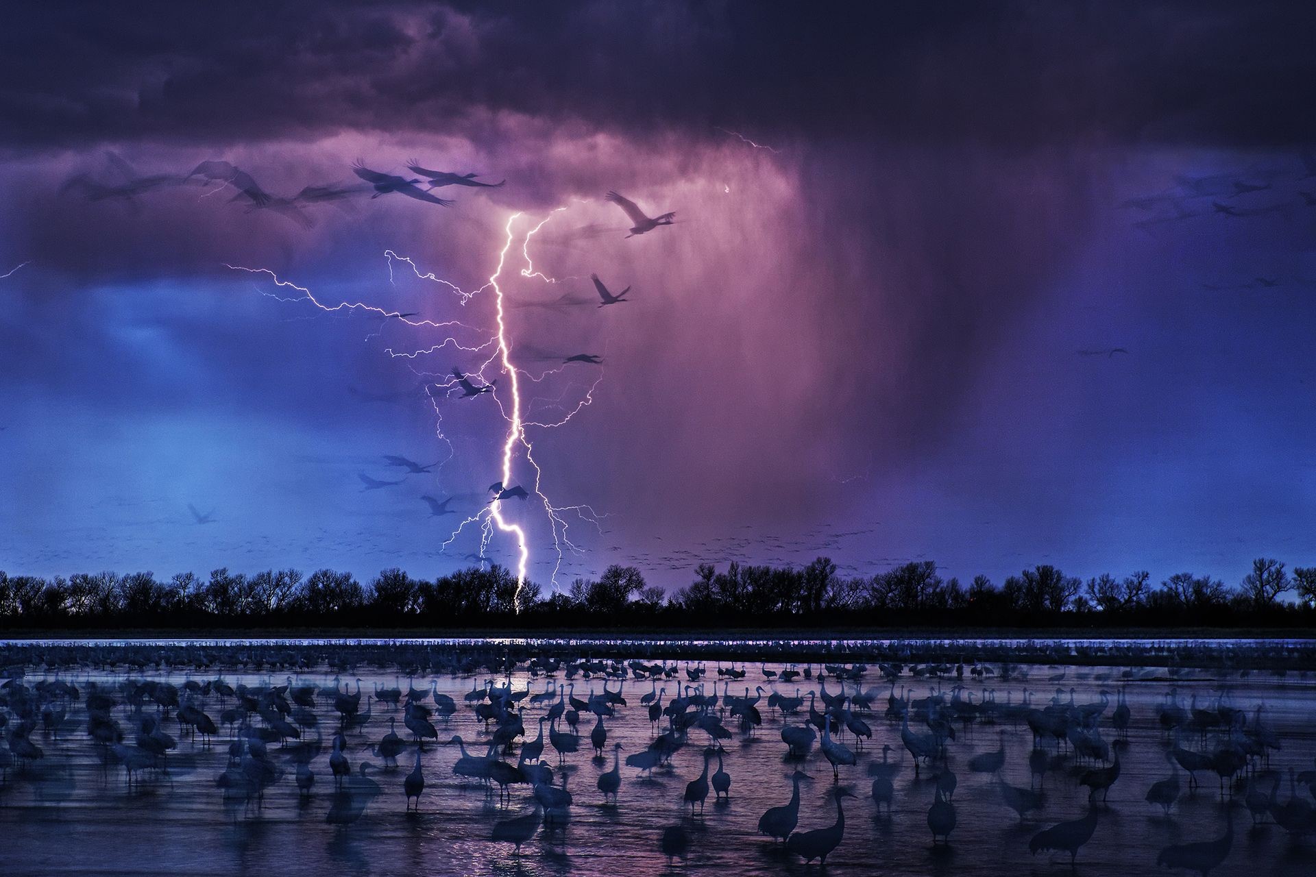 nature, landscape, water, clouds, sea, storm, animals, birds, lightning, long exposure, rain, HD Wallpaper