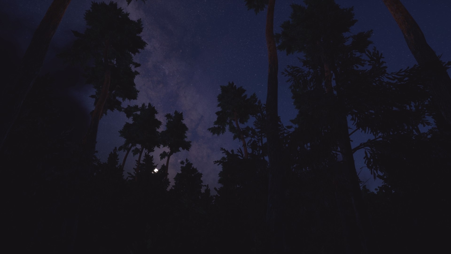 3D, forest, clouds, stars, trees, Milky Way, HD Wallpaper