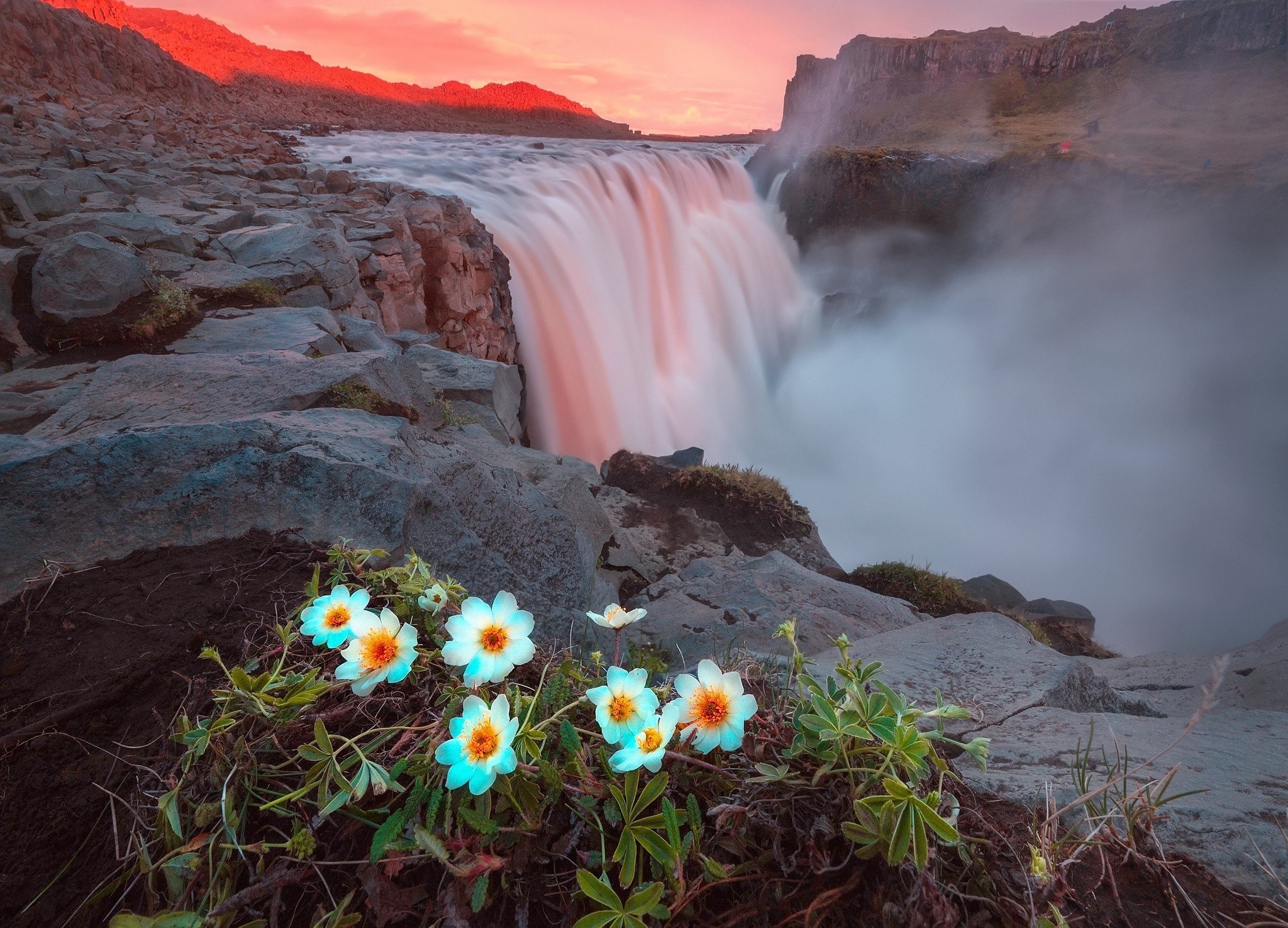 waterfall, flowers, nature, HD Wallpaper