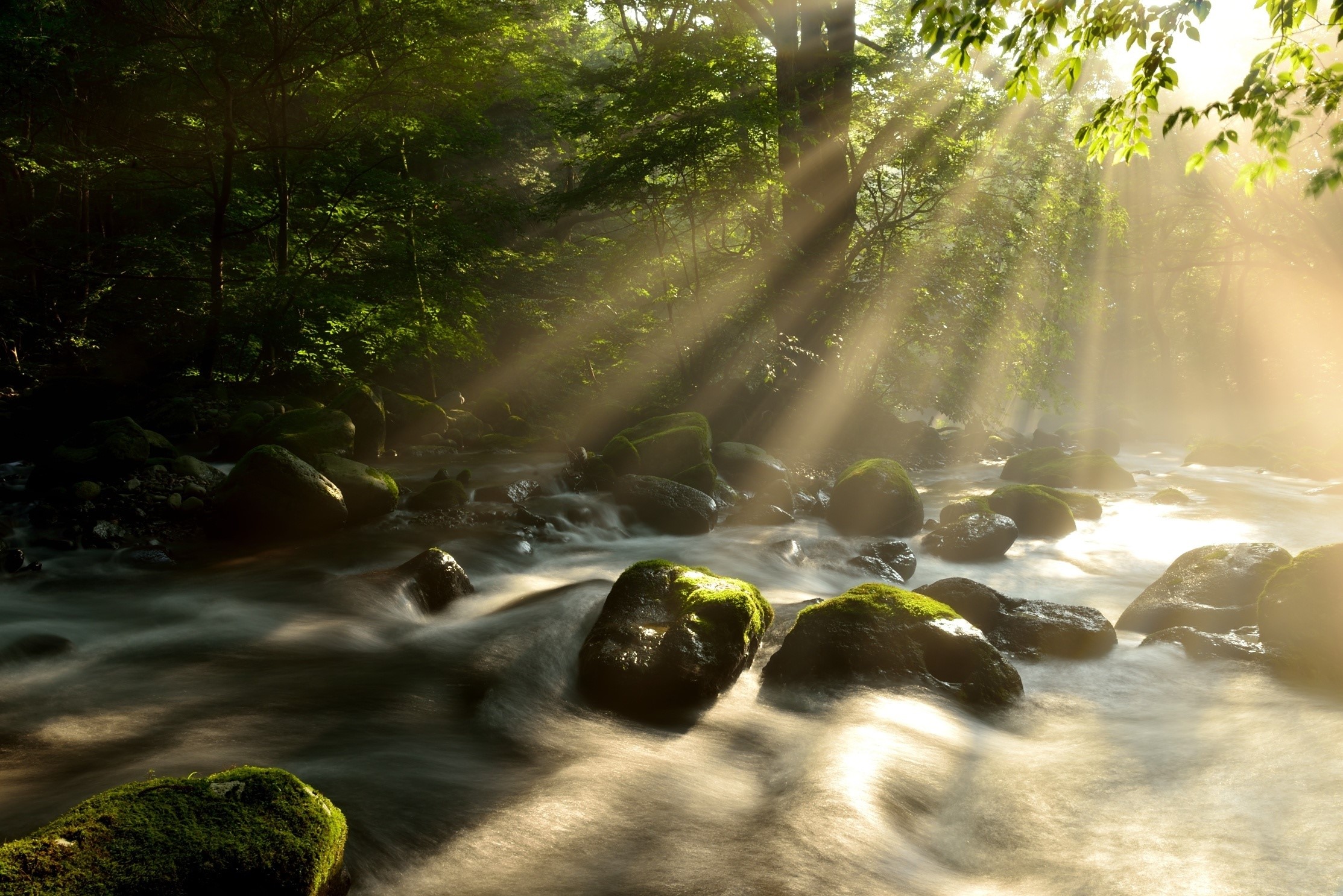 nature, water, sun rays, river, HD Wallpaper