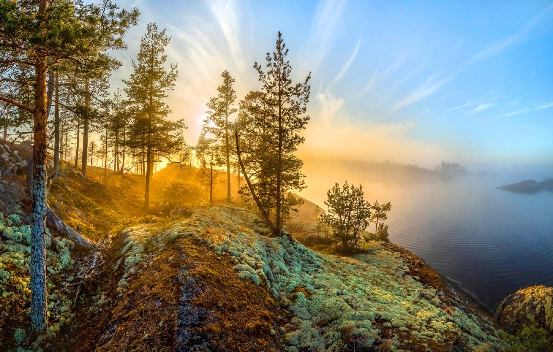 nature, blue, sky, landscape, trees, mist, yellow, sunrise, lake, pine trees, moss, rock, HD Wallpaper