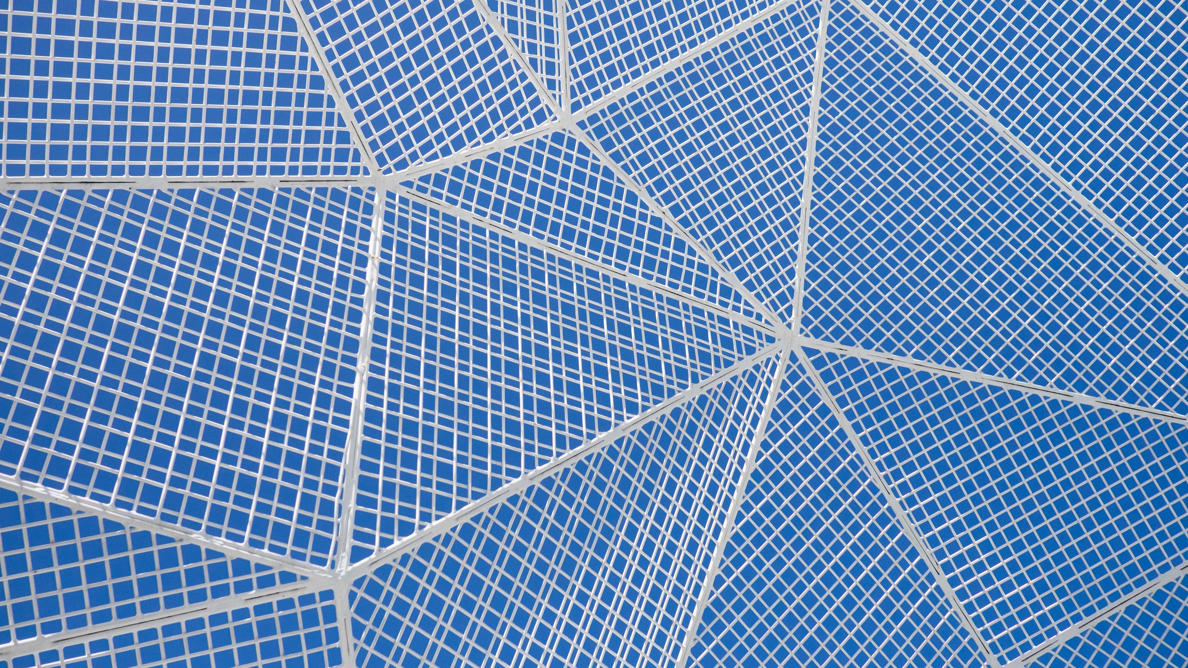 grid, texture, lines, 4k, HD Wallpaper