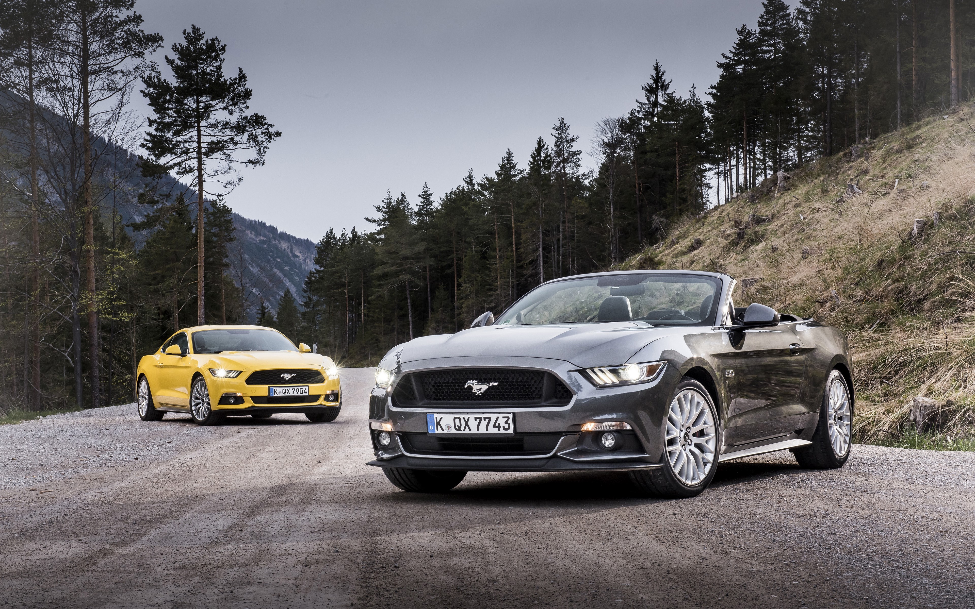 car, concept car, tuning, Ford Mustang, Cabrio, HD Wallpaper