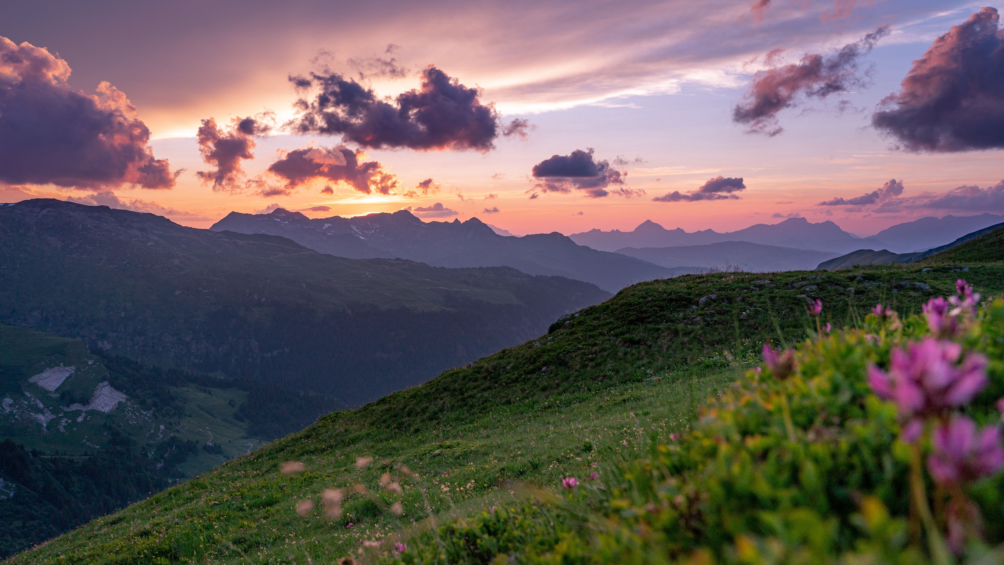 mountains, sunset, landscape, slopes, grass, flowers, 4k, HD Wallpaper