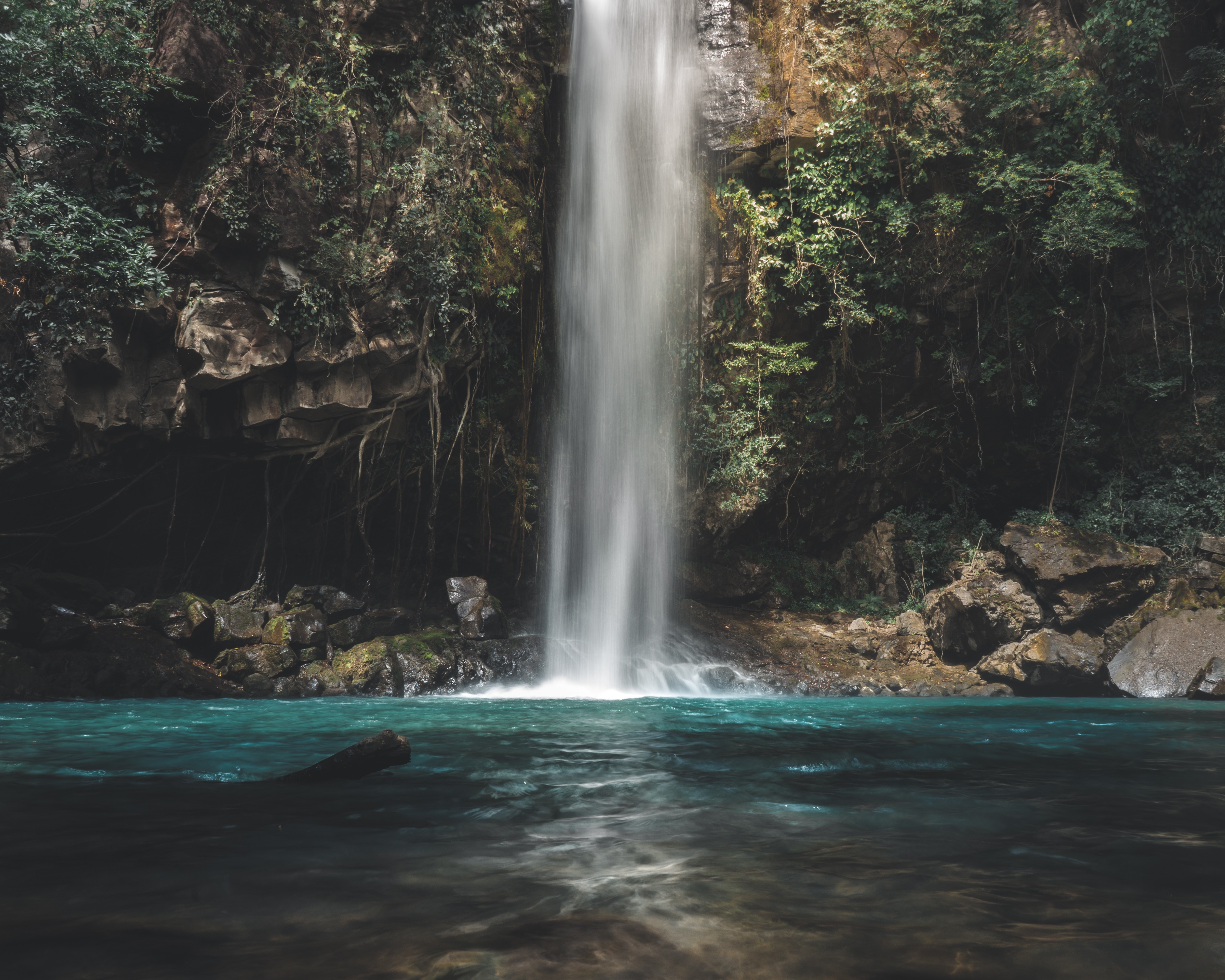 nature, water, trees, waterfall, HD Wallpaper