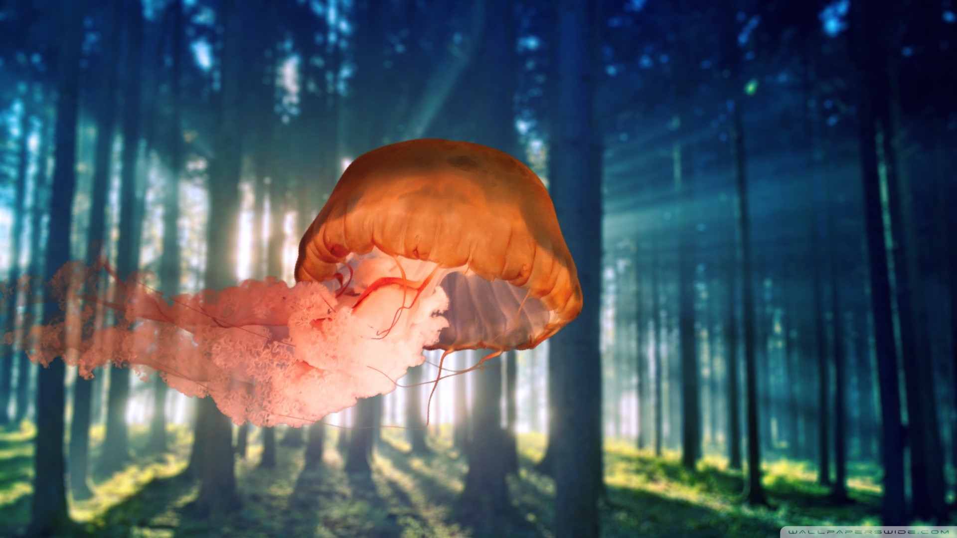 abstract, forest, HD Wallpaper