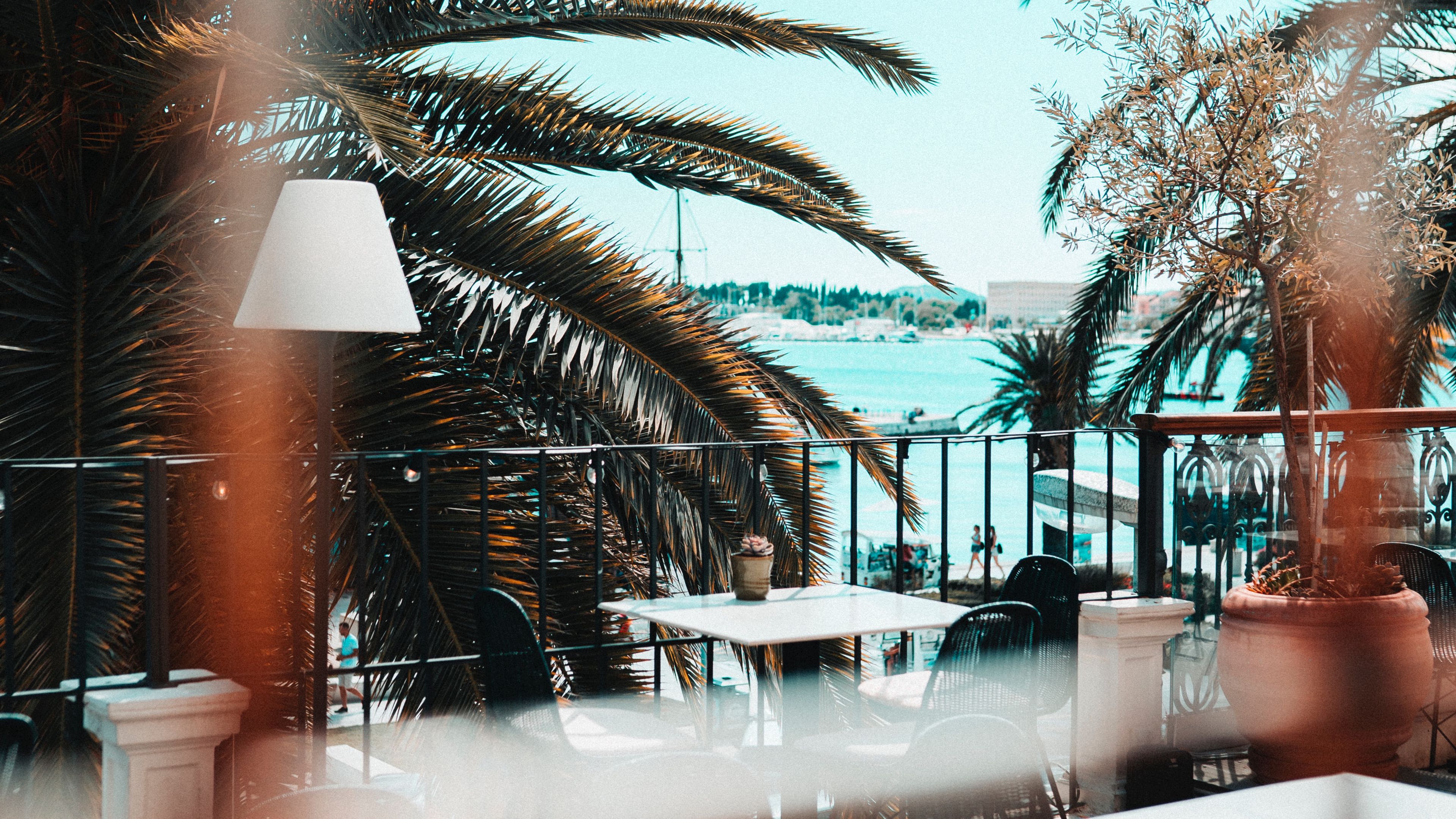 terrace, palm trees, beach, furniture, interior, 4k, HD Wallpaper