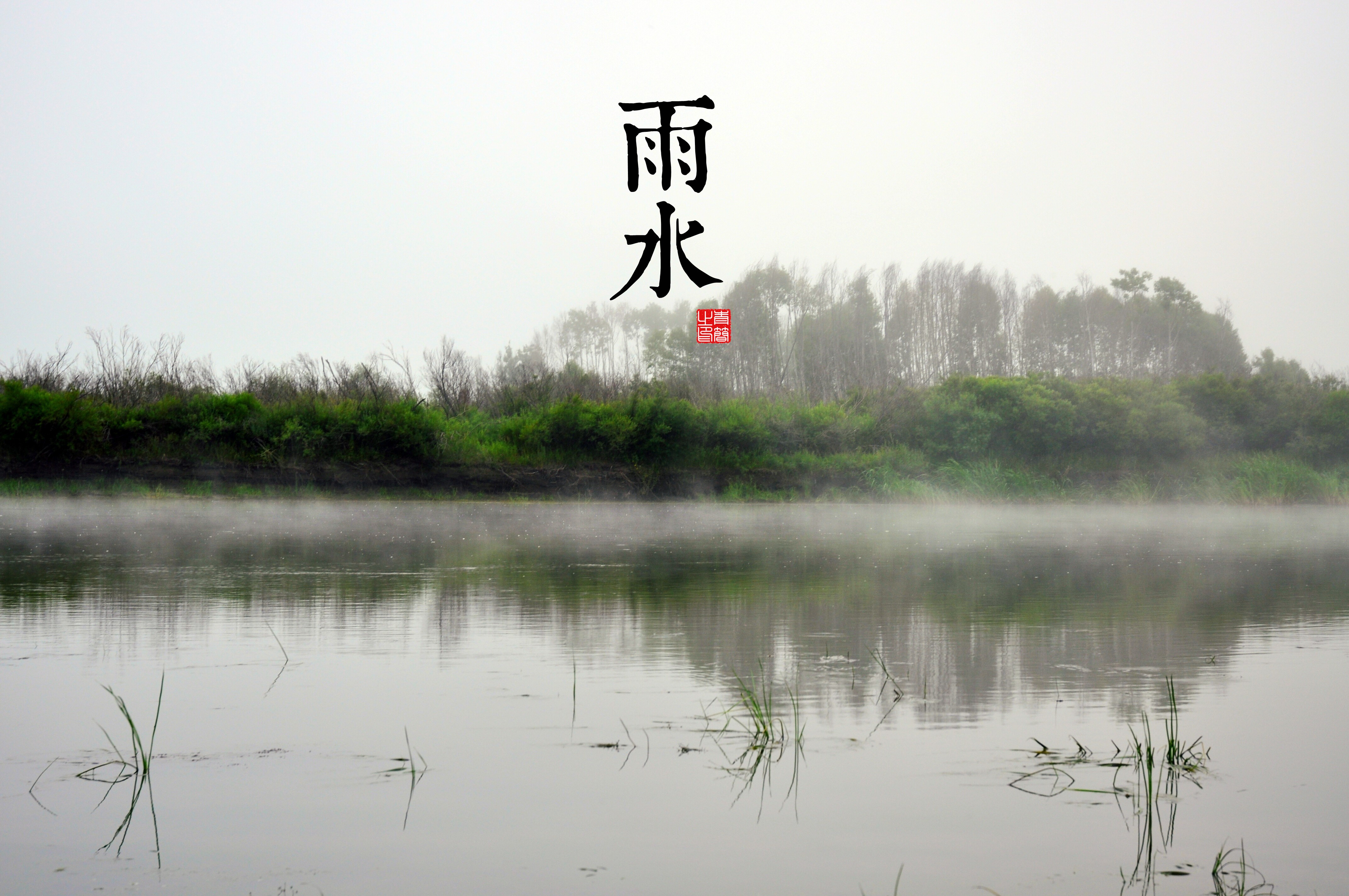 river, nature, water, plants, HD Wallpaper