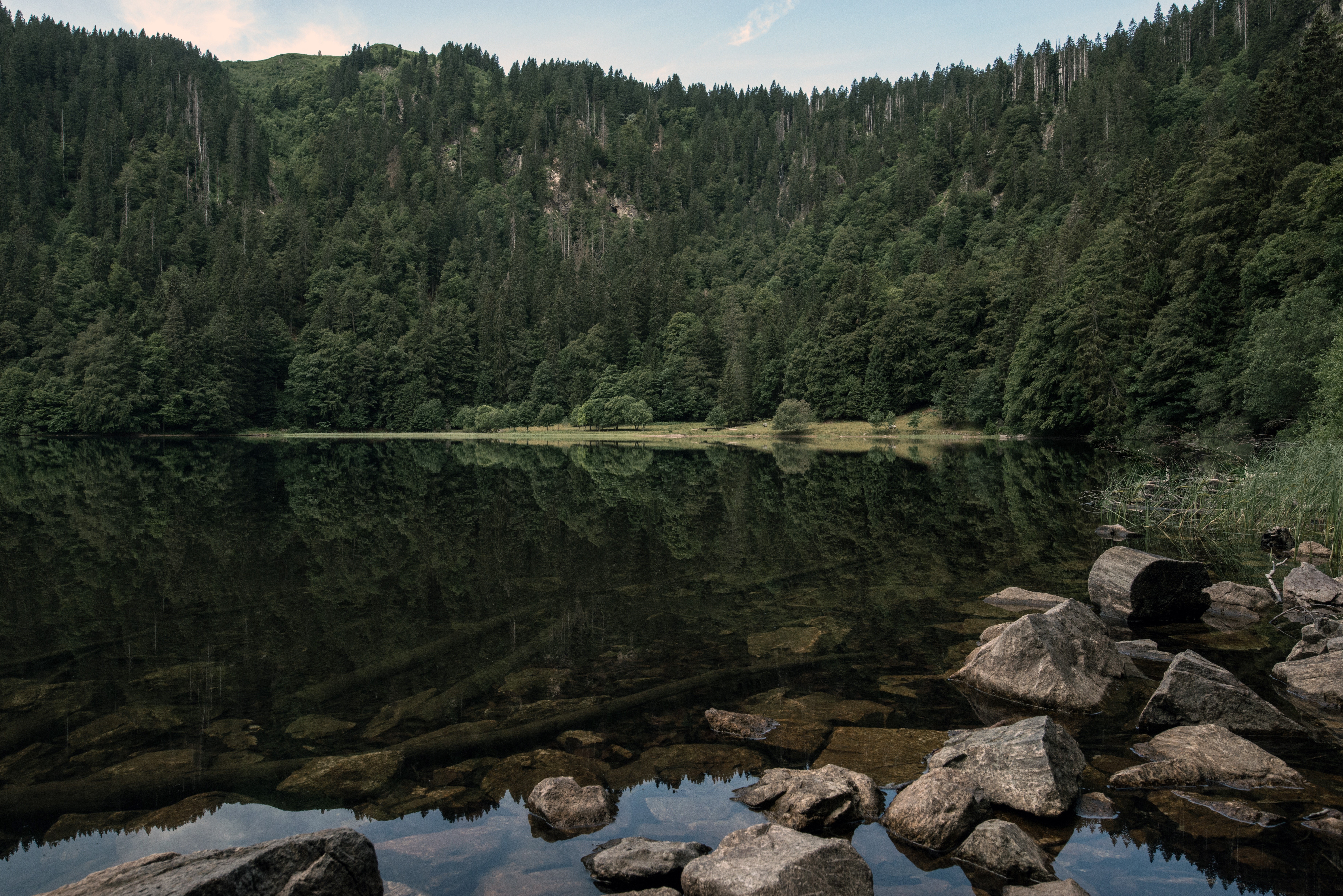 landscape, forest, rocks, nature, lake, reflection, water, HD Wallpaper