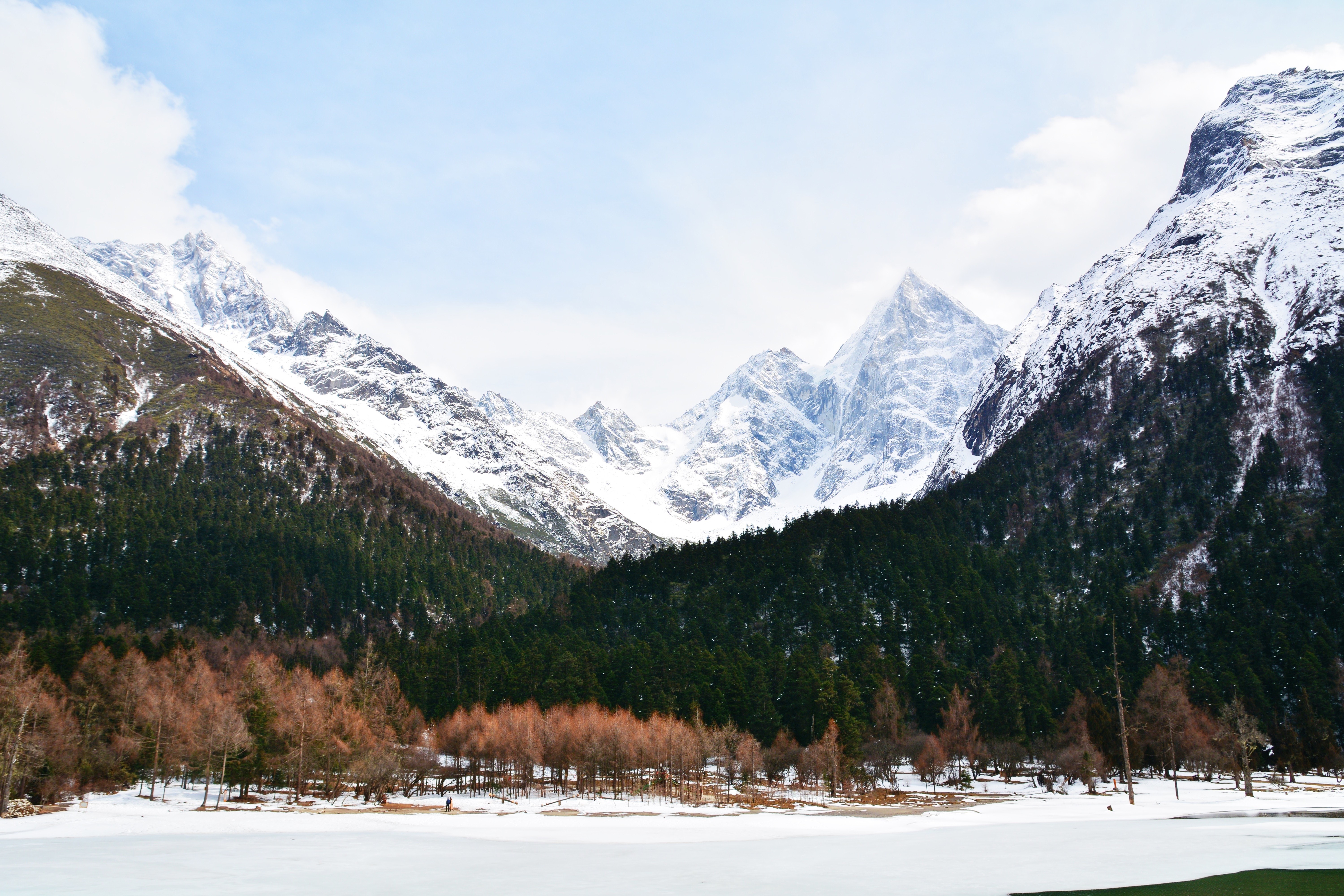 nature, snow, mountains, trees, HD Wallpaper