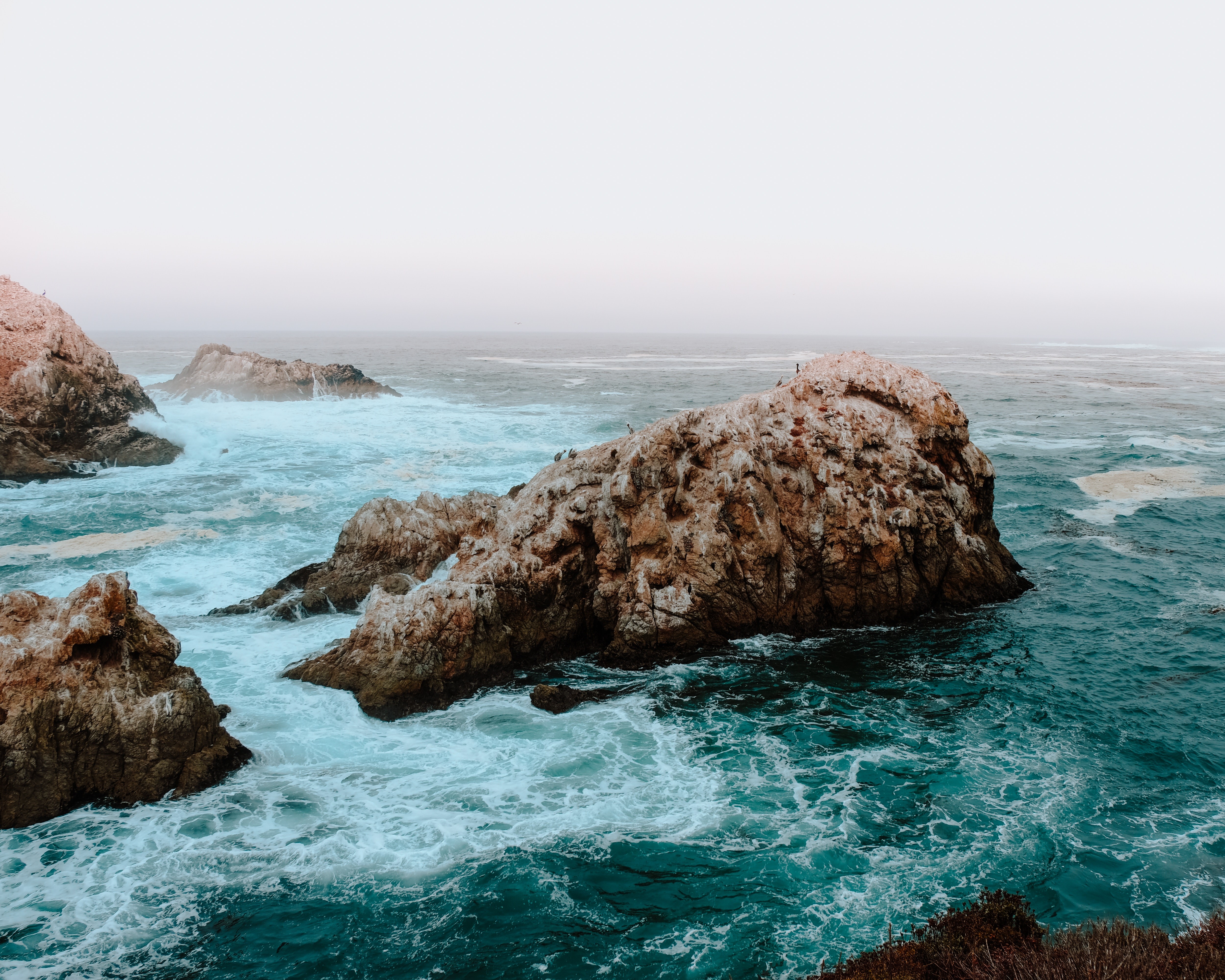 nature, water, waves, birds, sea, HD Wallpaper