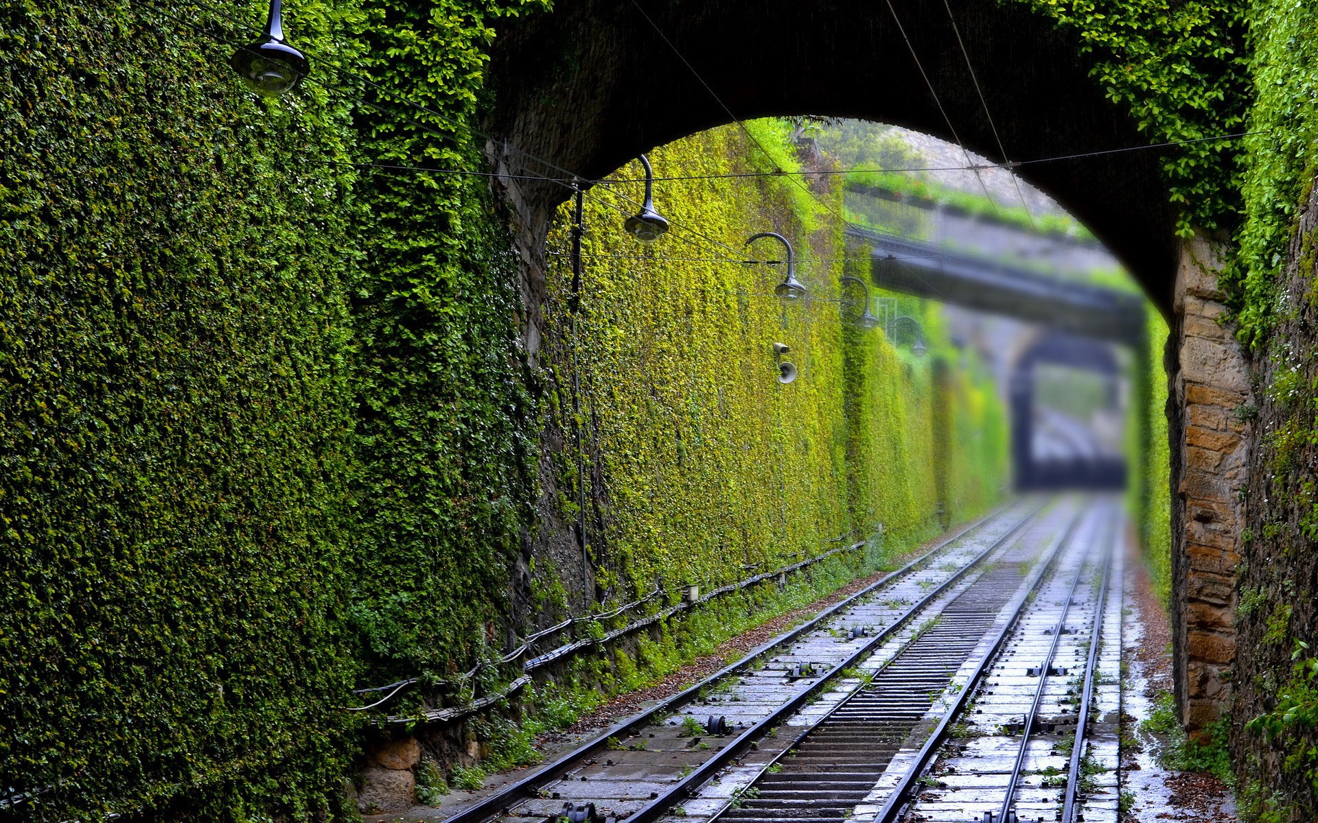 photography, railway, tunnel, green, plants, lamp, HD Wallpaper
