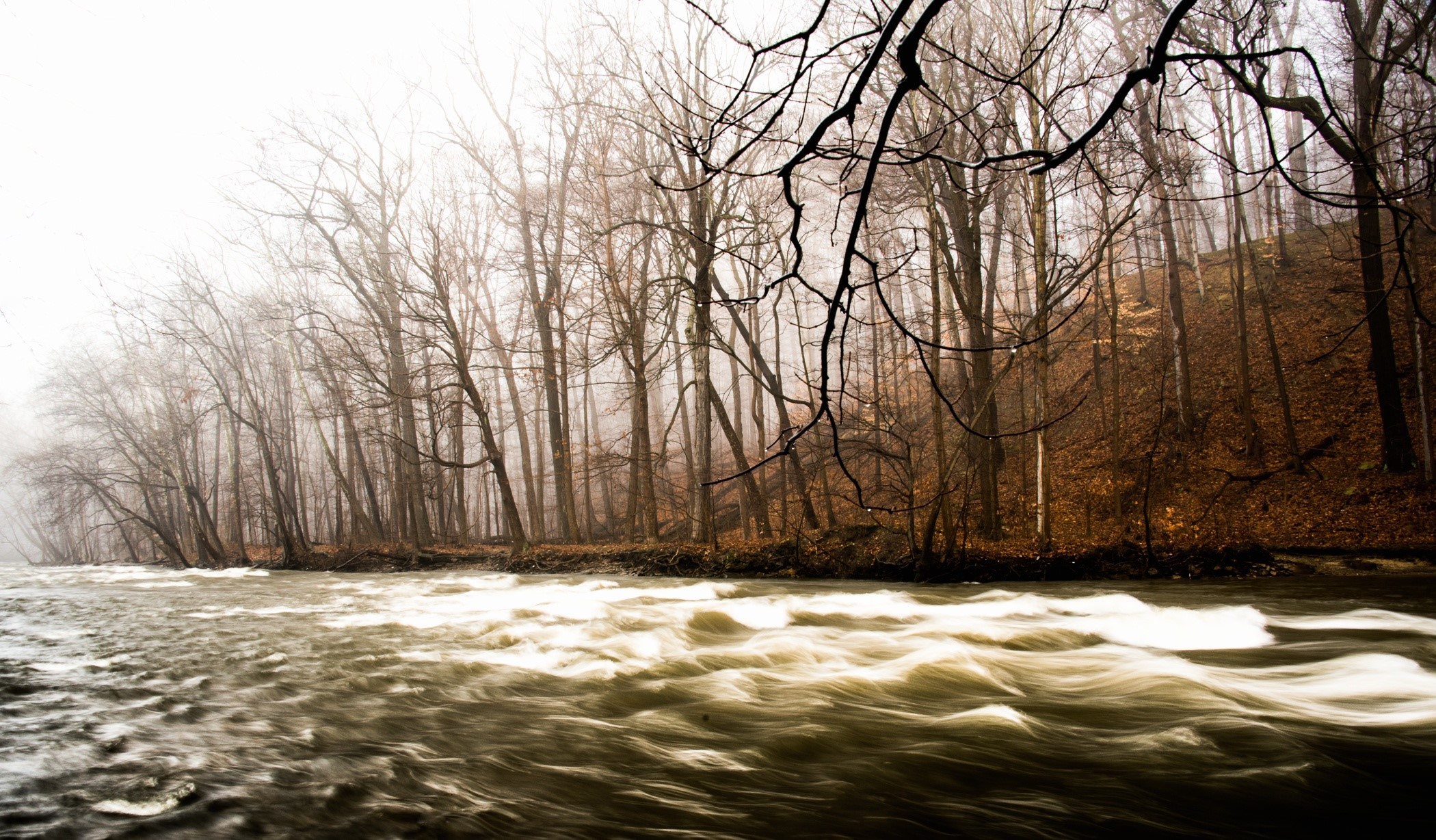 river, nature, water, trees, HD Wallpaper