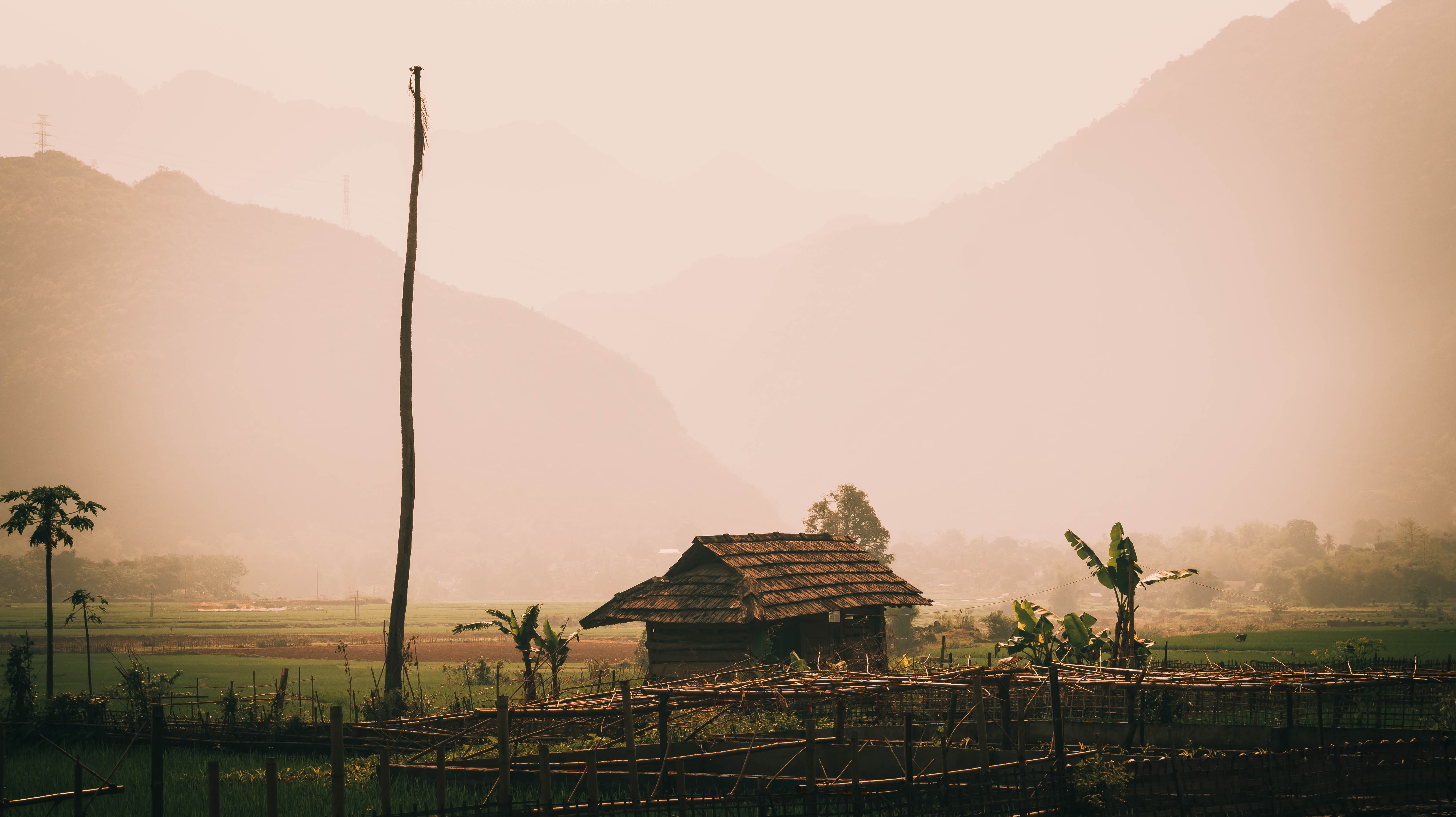 jungle, palm trees, Vietnam, straw, hut, bamboo, rice paddy, mountains, nature, Asia, HD Wallpaper