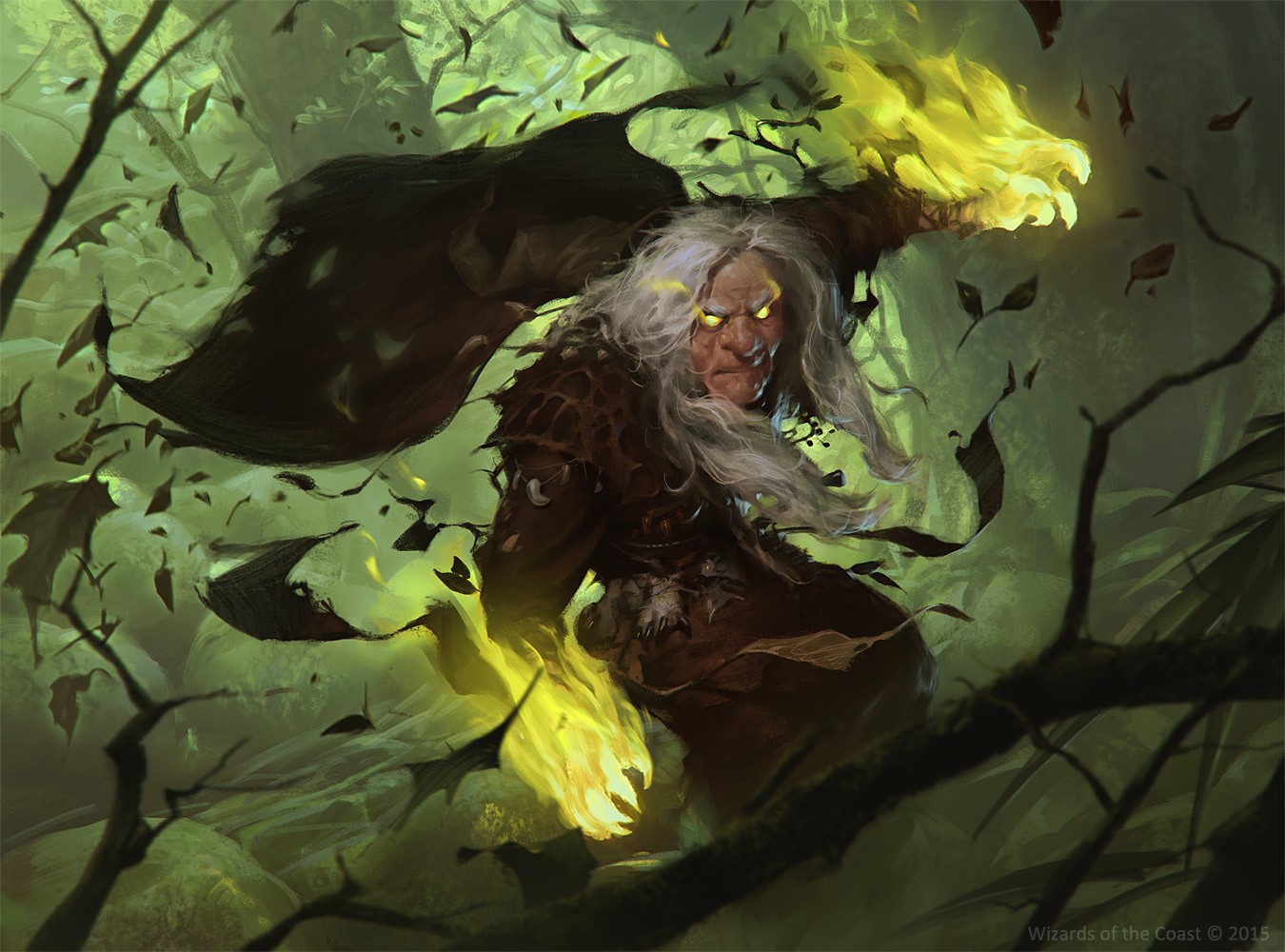 Slawomir Maniak, men, hood, forest, magic, trees, fire, gray hair, HD Wallpaper