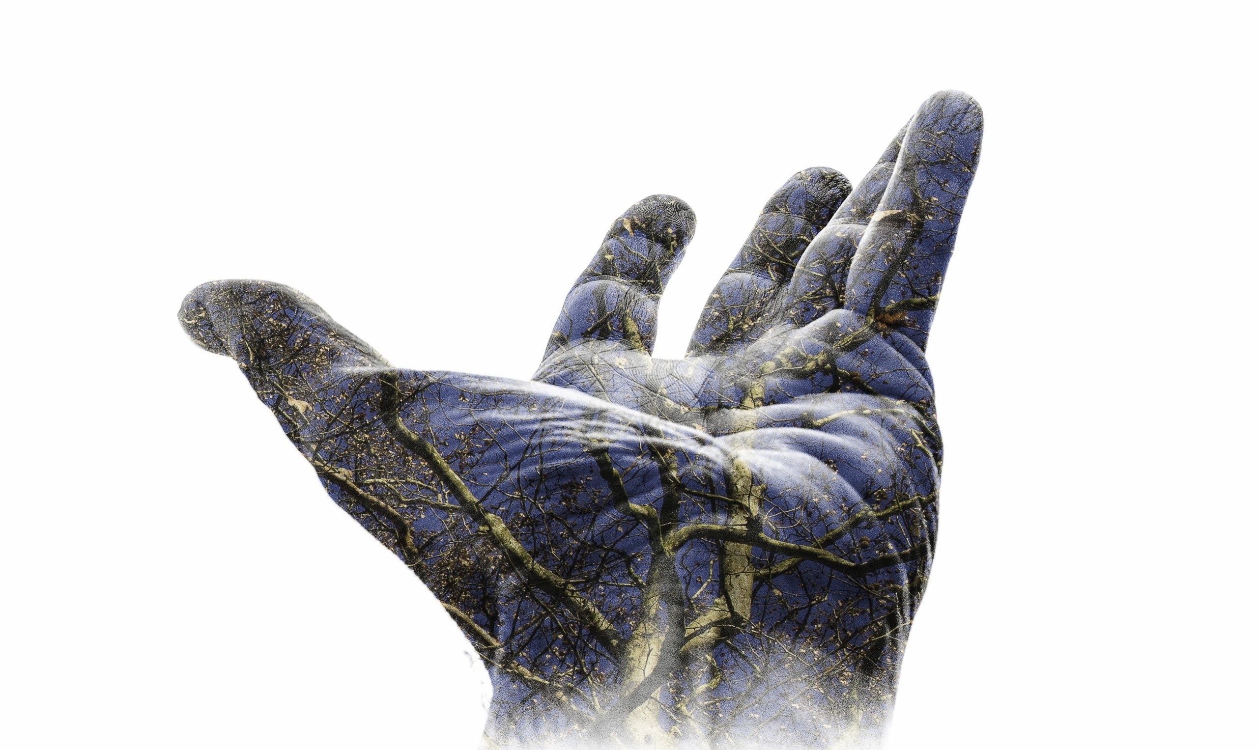 hands, white background, digital art, double exposure, HD Wallpaper