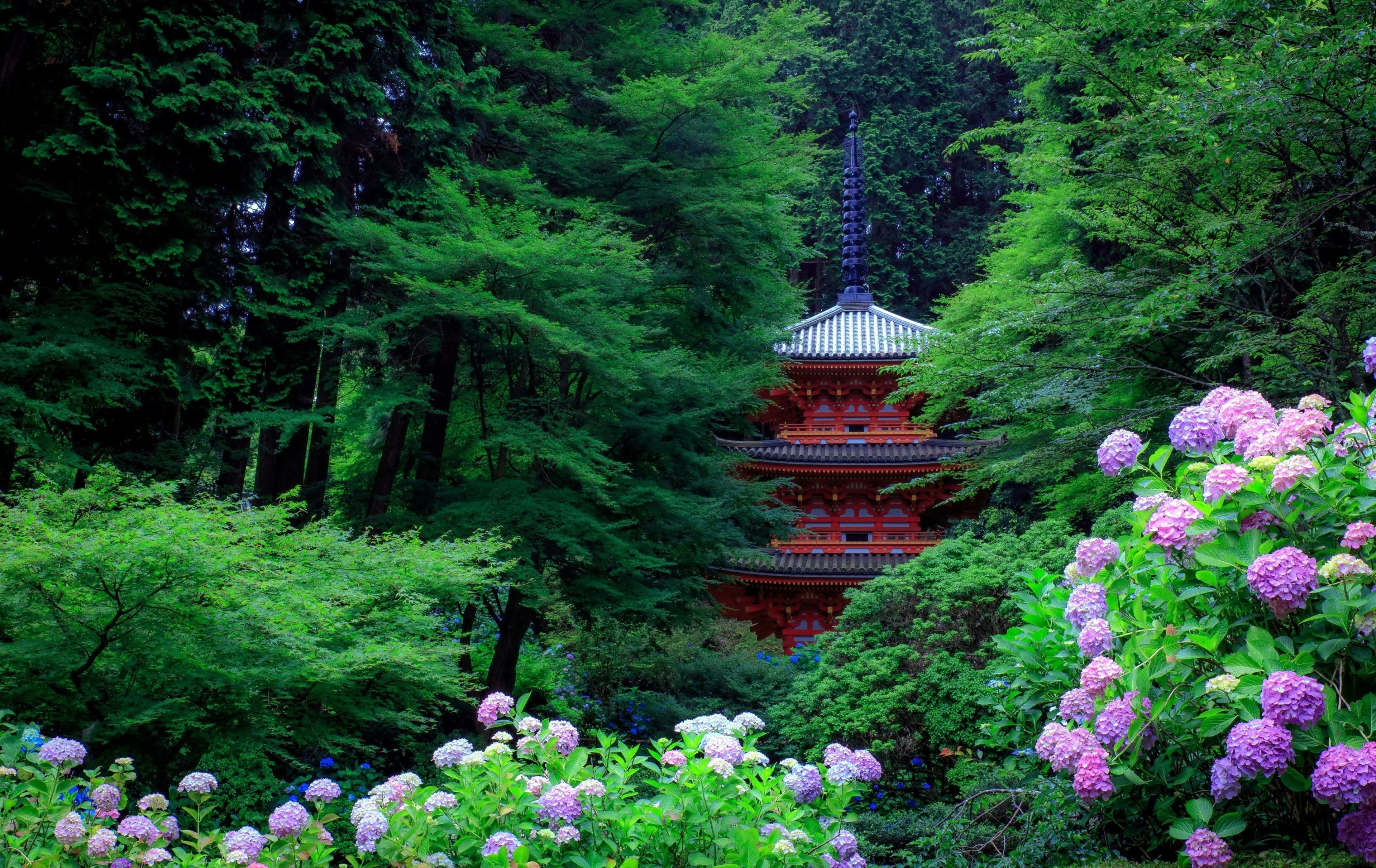 Asian architecture, pagoda, trees, forest, plants, flowers, leaves, Japan, hydrangea, HD Wallpaper