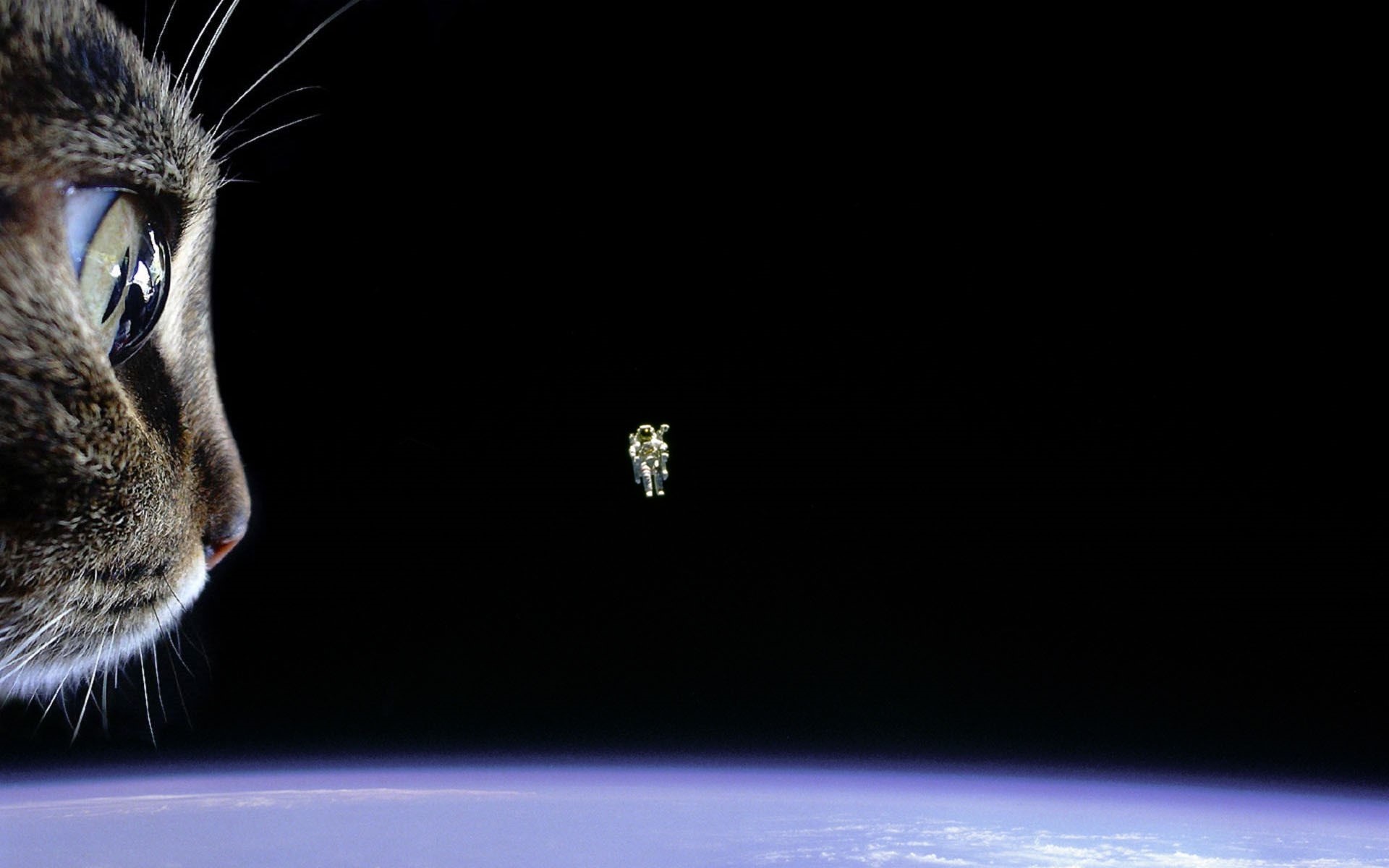 landscape, cats, space, astronaut, humor, HD Wallpaper