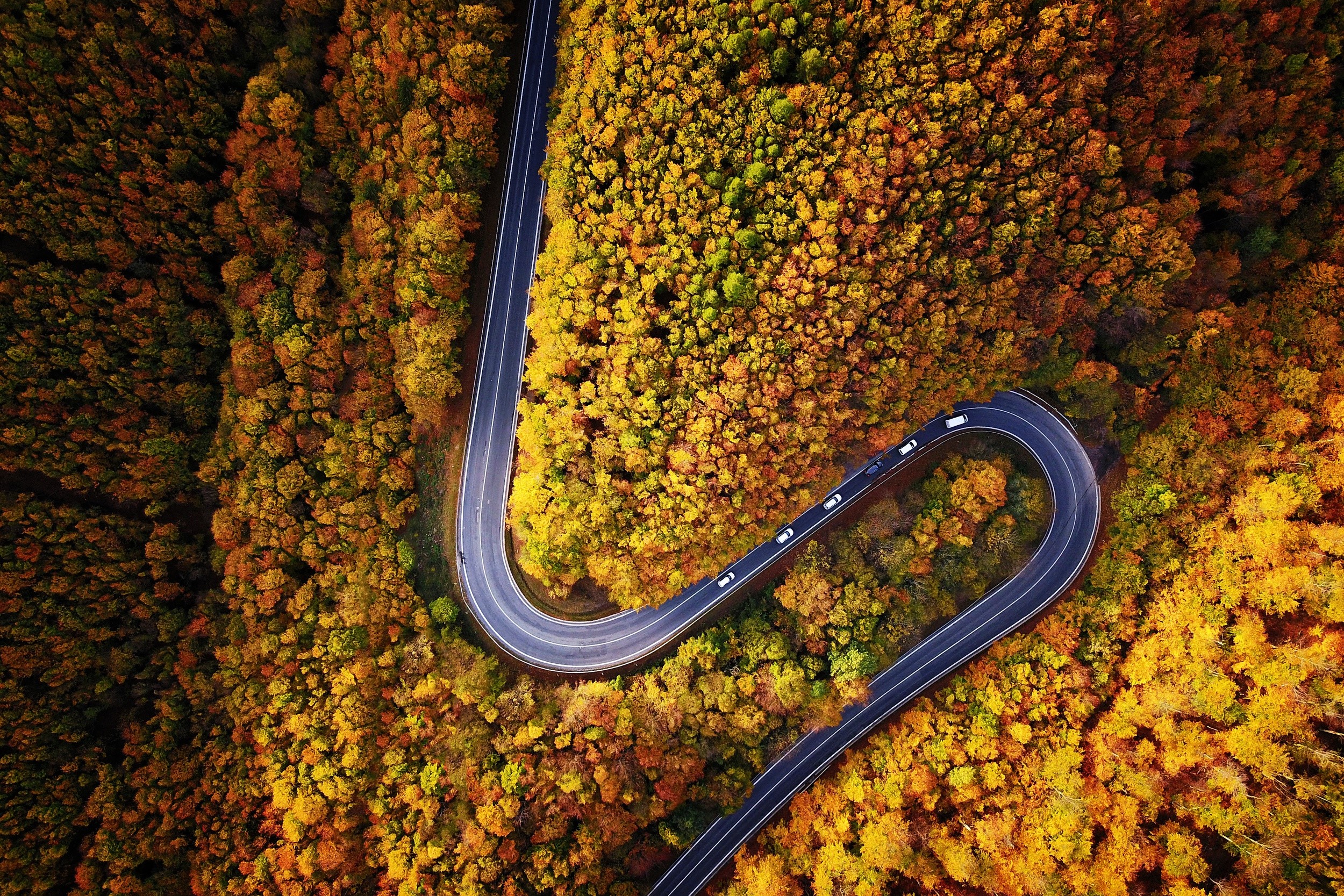 aerial view, road, trees, fall, yellow, HD Wallpaper