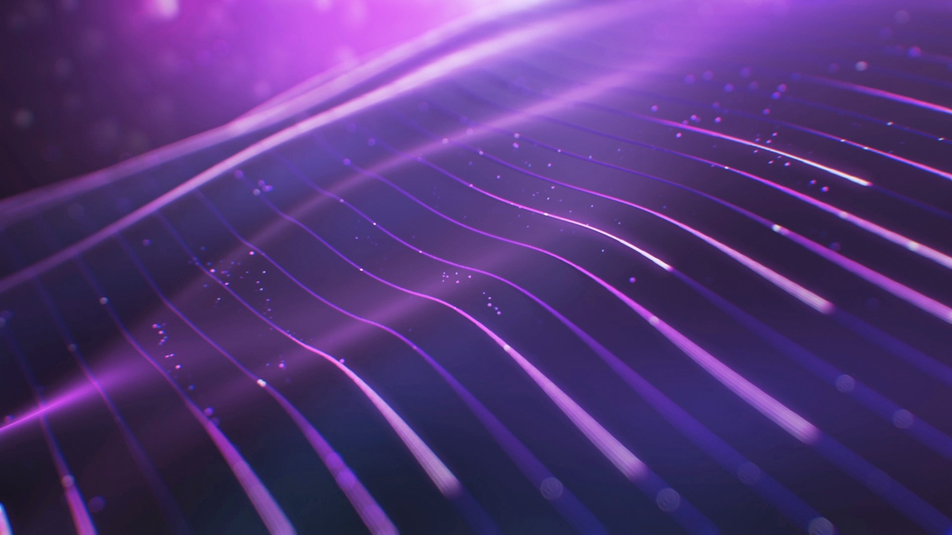 abstract, lines, digital art, colorful, purple, HD Wallpaper