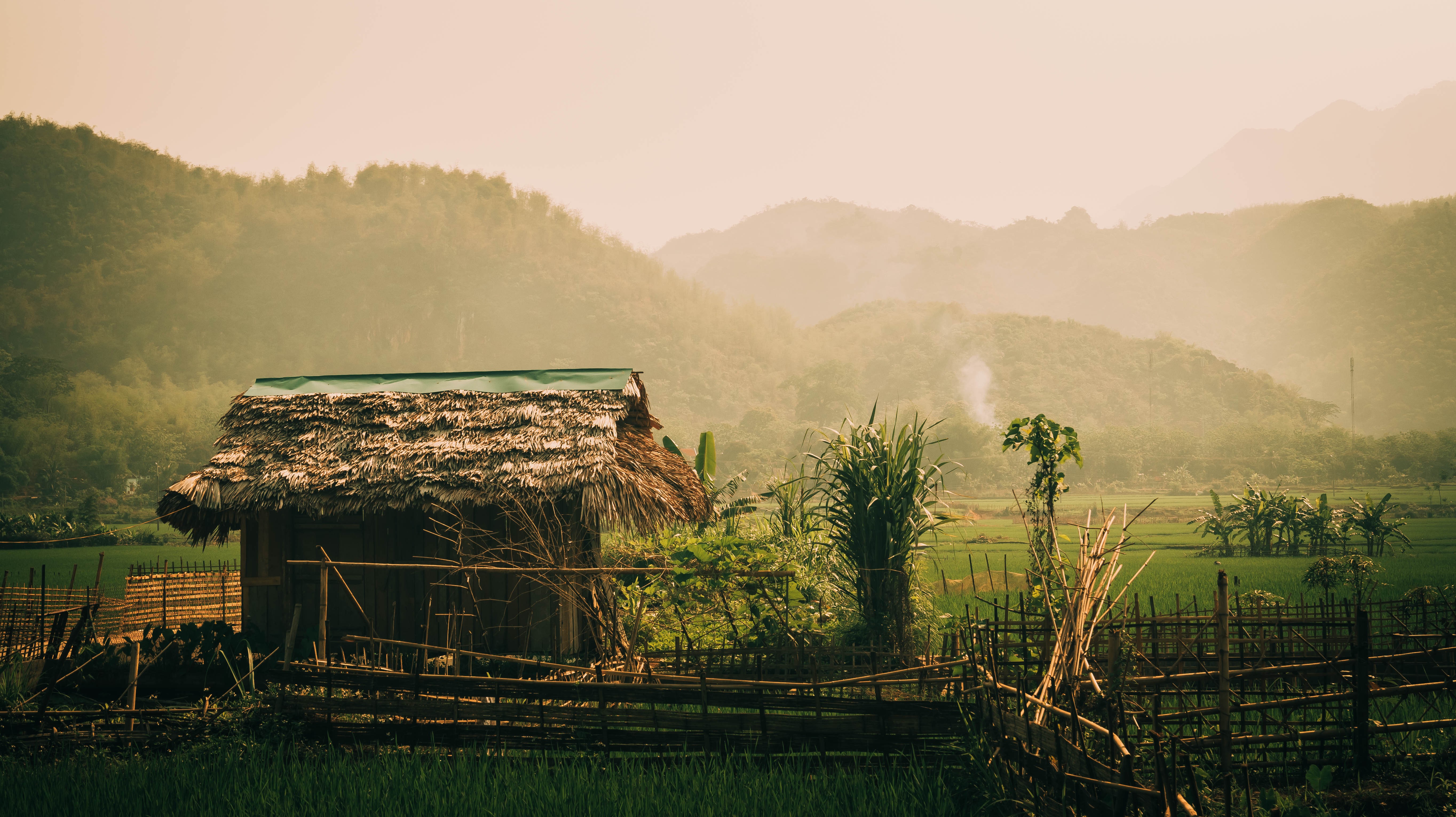 hut, jungle, rice paddy, Vietnam, mountains, landscape, Asia, plants, green, hills, HD Wallpaper