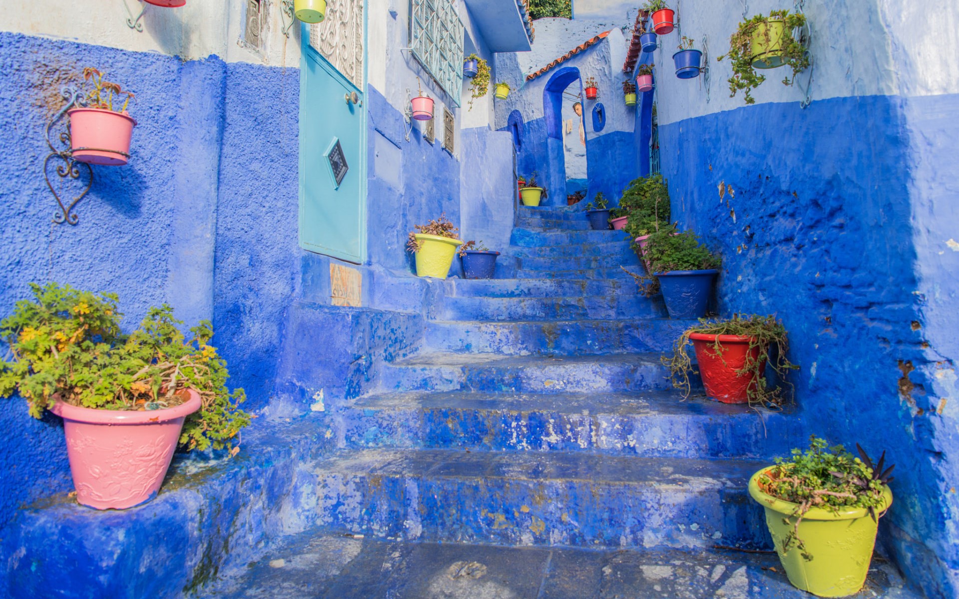 colorful, urban, plants, stairs, blue, flowerpot, HD Wallpaper