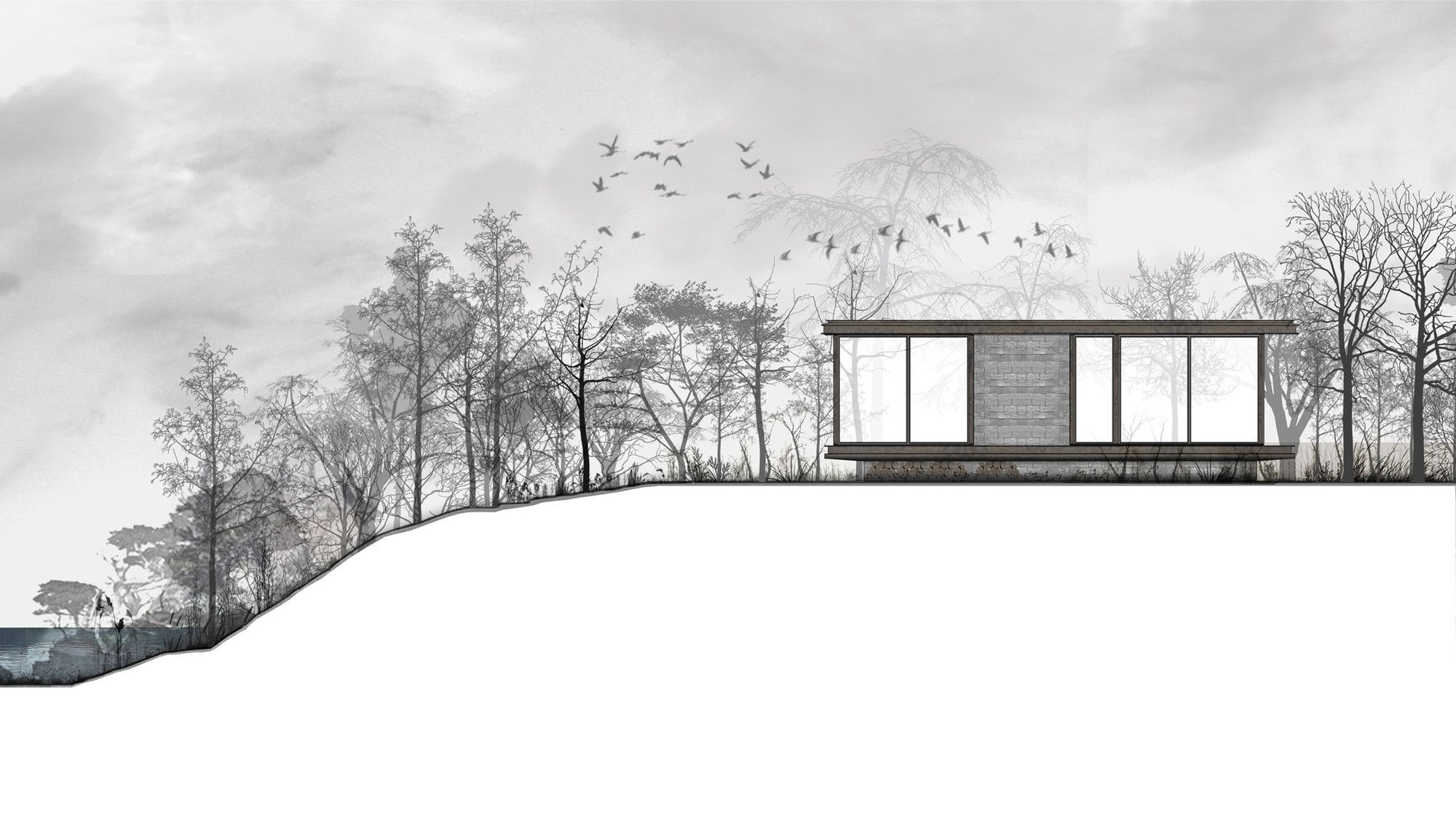 modern, architecture, building, house, Conceptual, winter, trees, forest, birds, hill, monochrome, water, clouds, CGI, Paul de Ruiter, render, Villa Kogelhof, HD Wallpaper