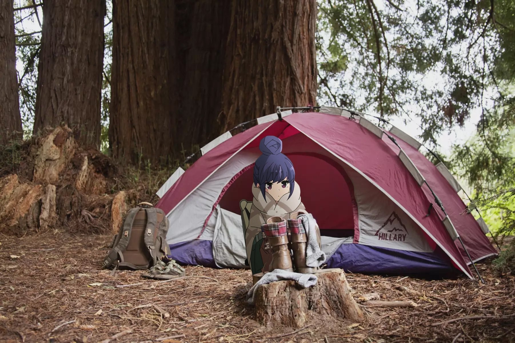 Yuru Camp, Rin Shima, anime girls, camp, tent, HD Wallpaper