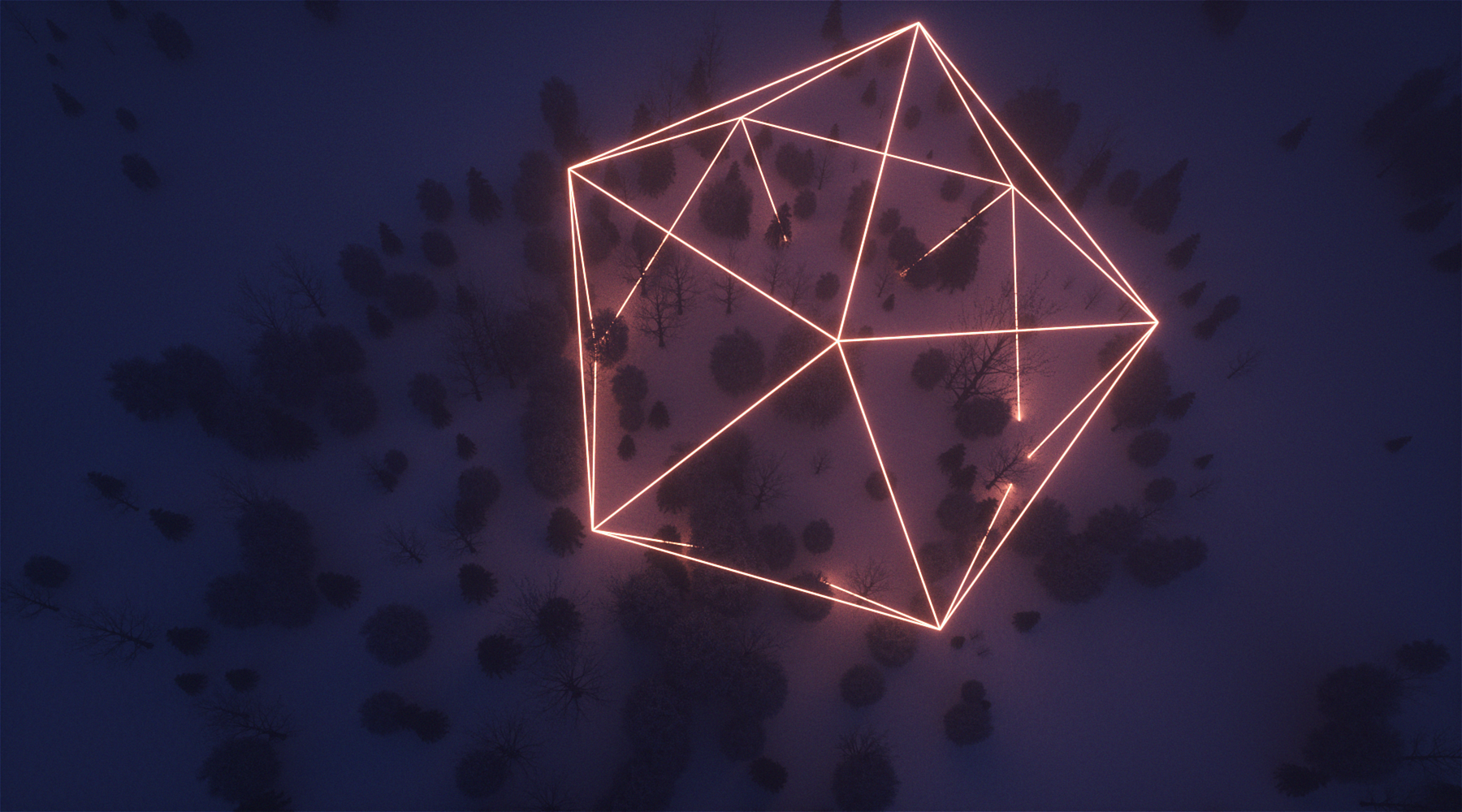 neon, dark, geometry, shapes, nature, HD Wallpaper