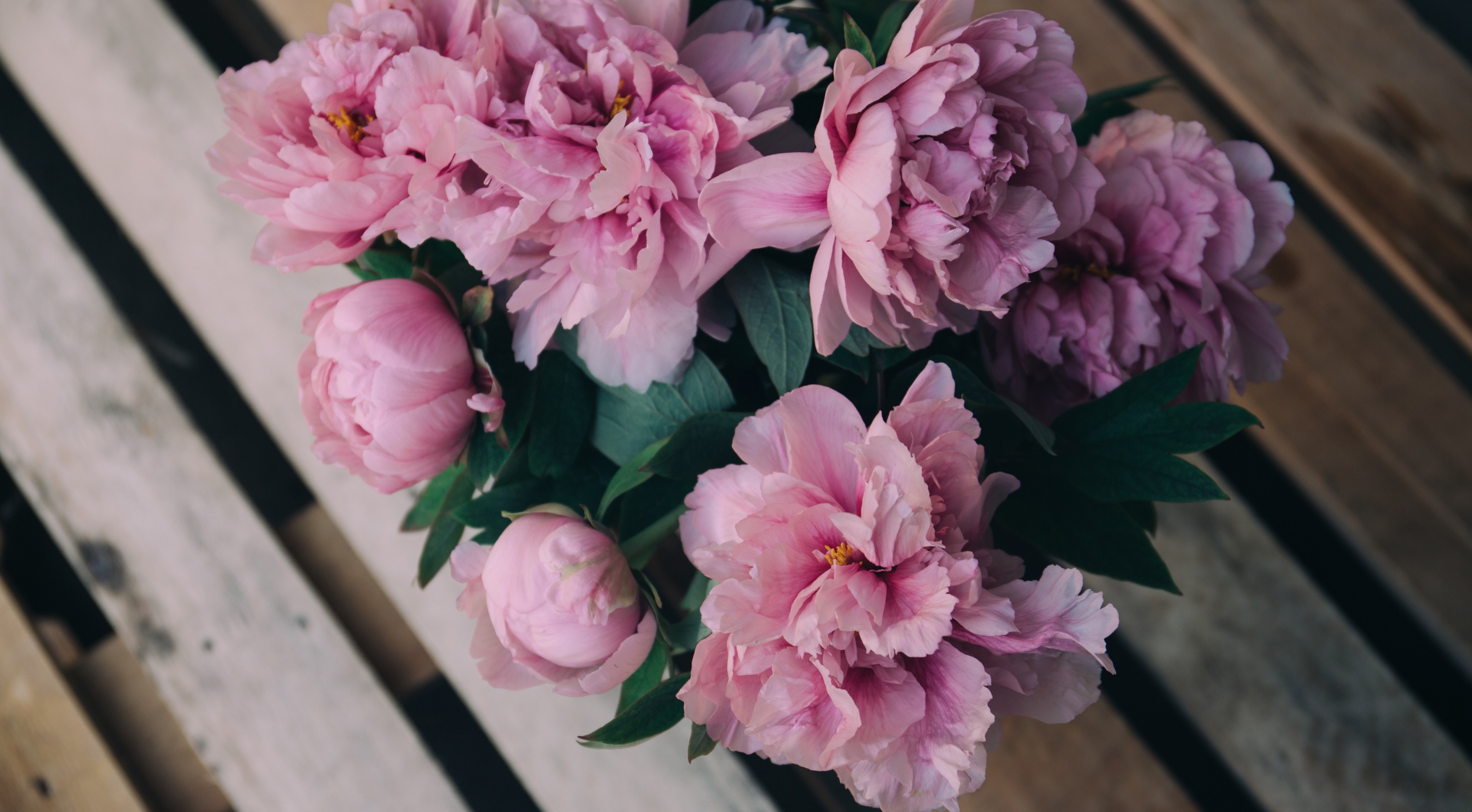 pink flowers, wood, table, flowers, HD Wallpaper