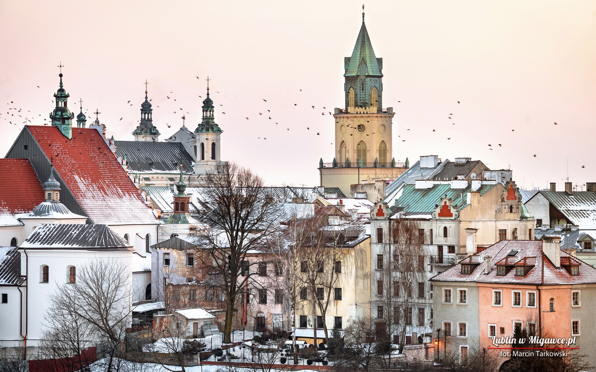 Lublin, Poland, Polish, cityscape, Tourism, tourist, Europe, HD Wallpaper