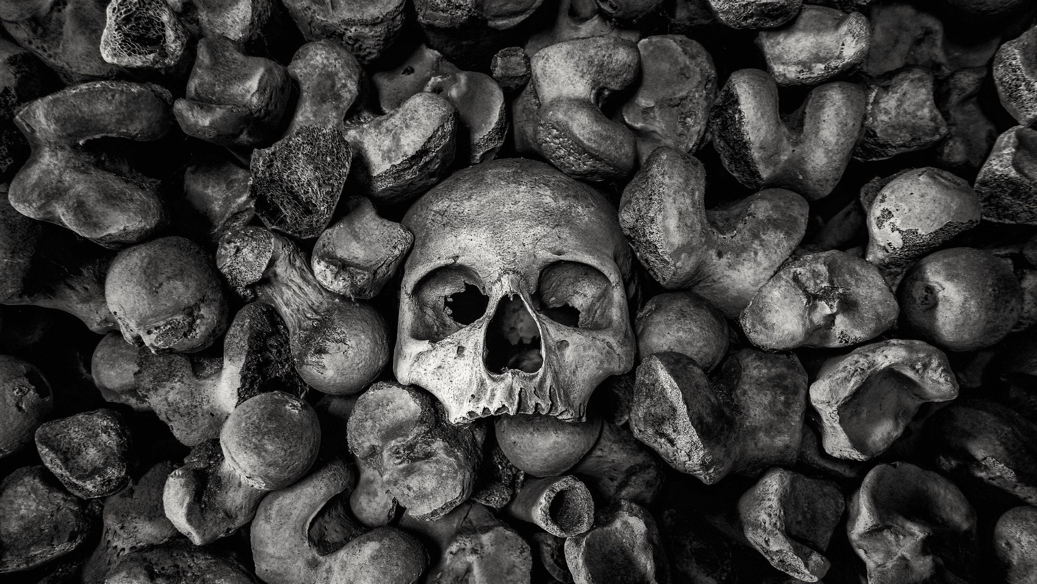 bones, skull, monochrome, dark, HD Wallpaper