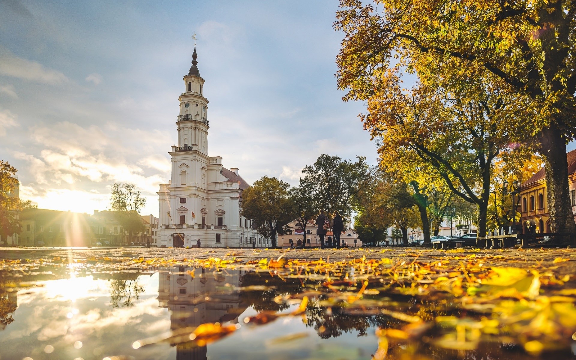 city, fall, building, trees, HD Wallpaper