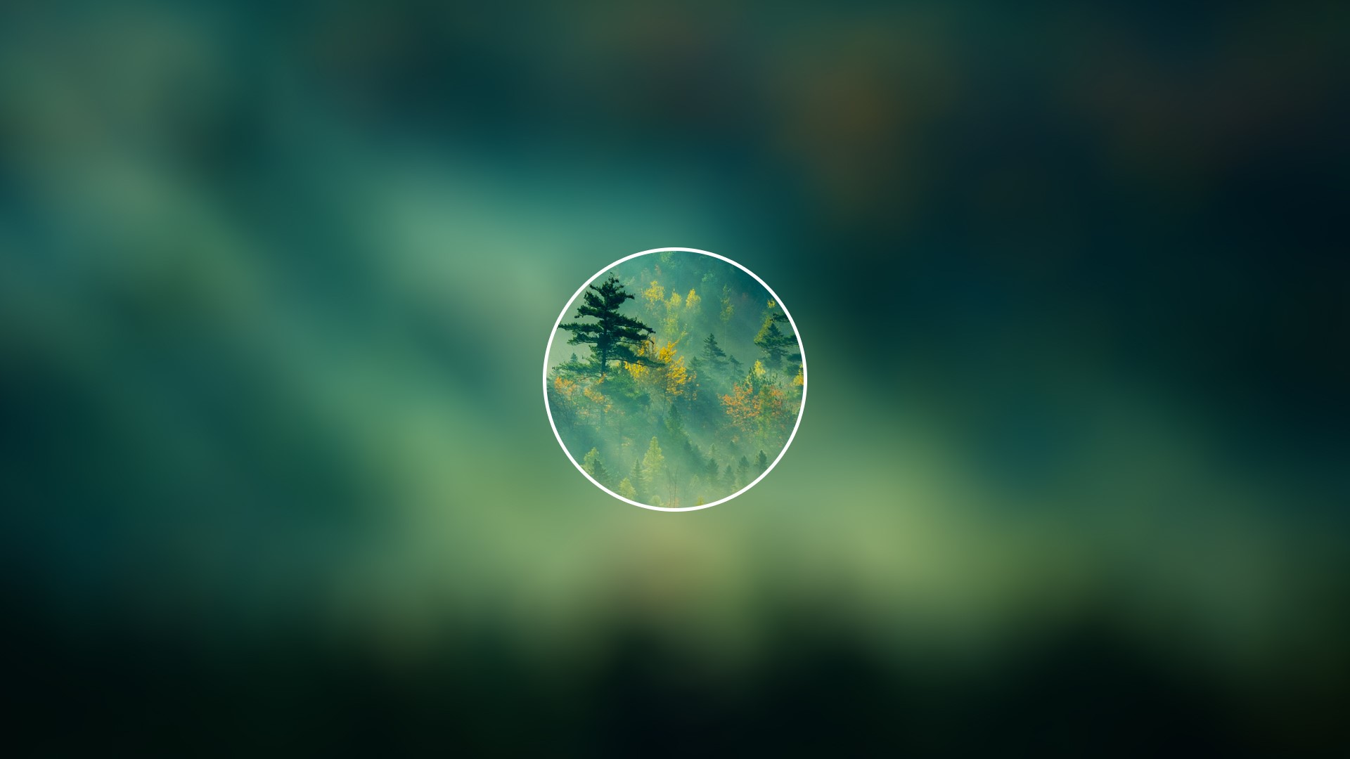 forest, nature, blurred, circle, trees, picture-in-picture, simple, HD Wallpaper