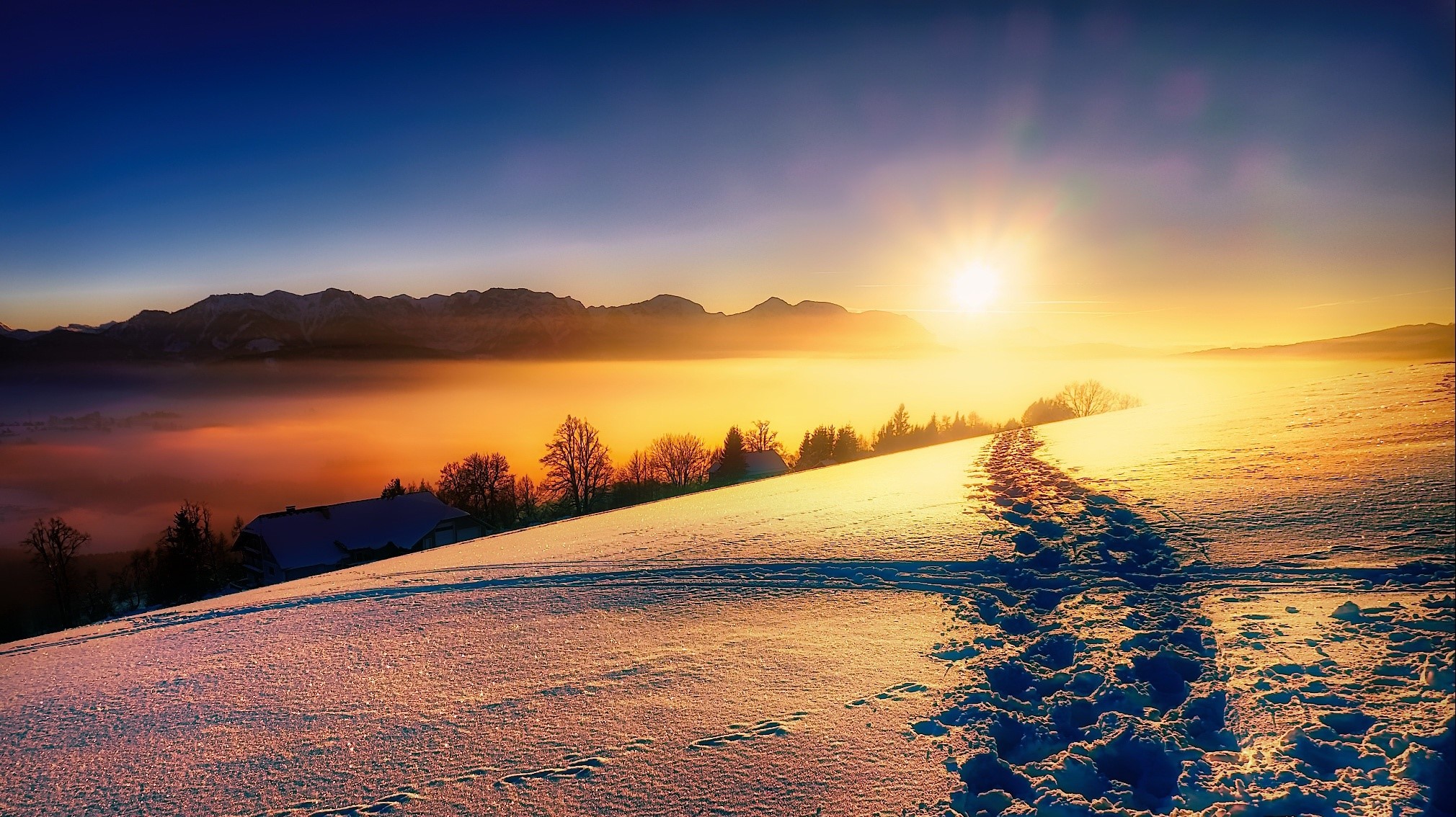 sunlight, nature, winter, snow, landscape, HD Wallpaper