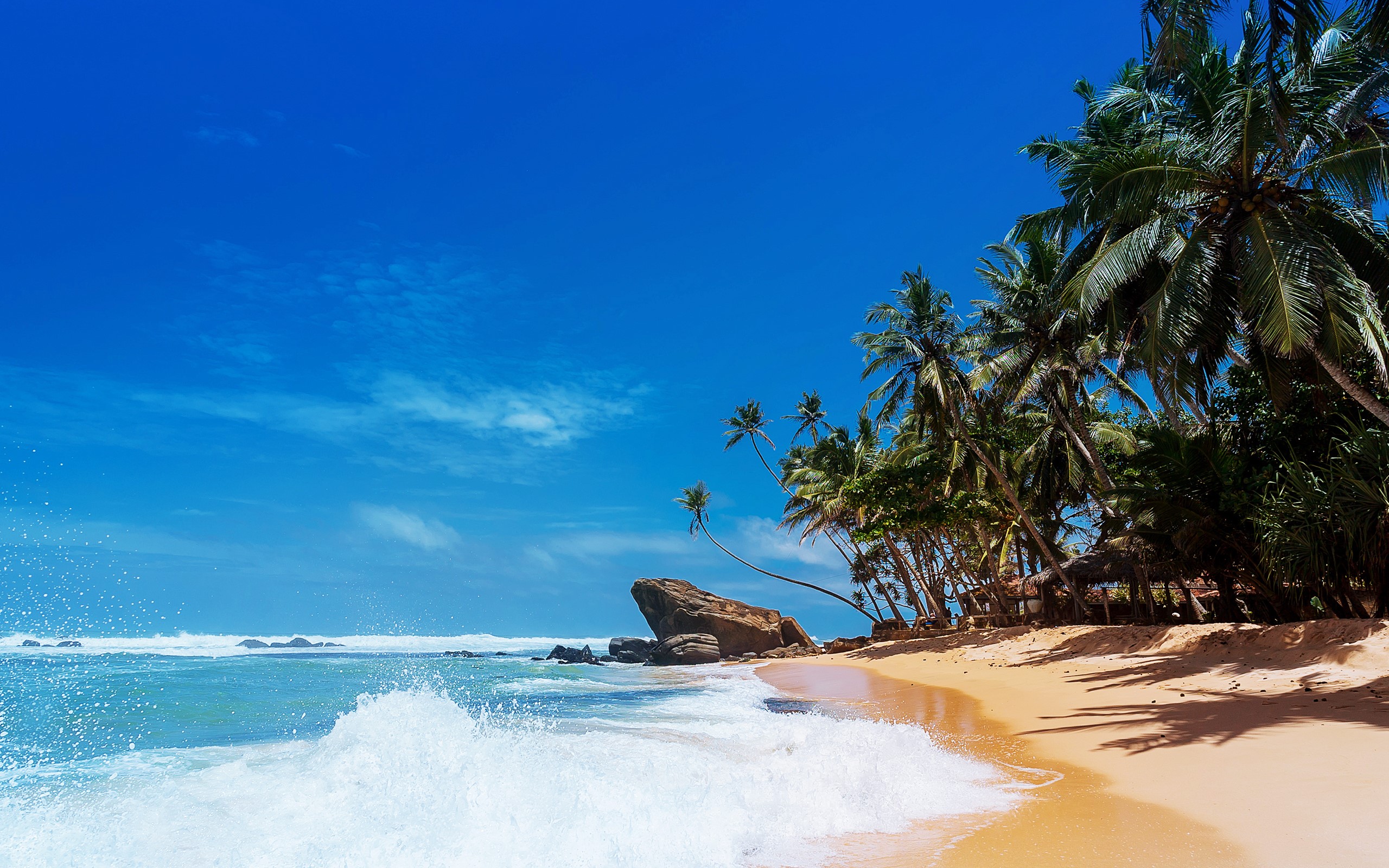 landscape, beach, nature, palm trees, waves, HD Wallpaper
