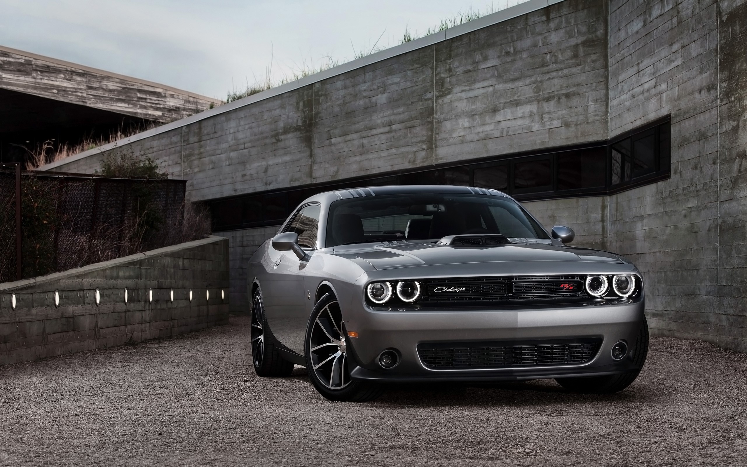 car, Dodge, Dodge Challenger R/T, HD Wallpaper