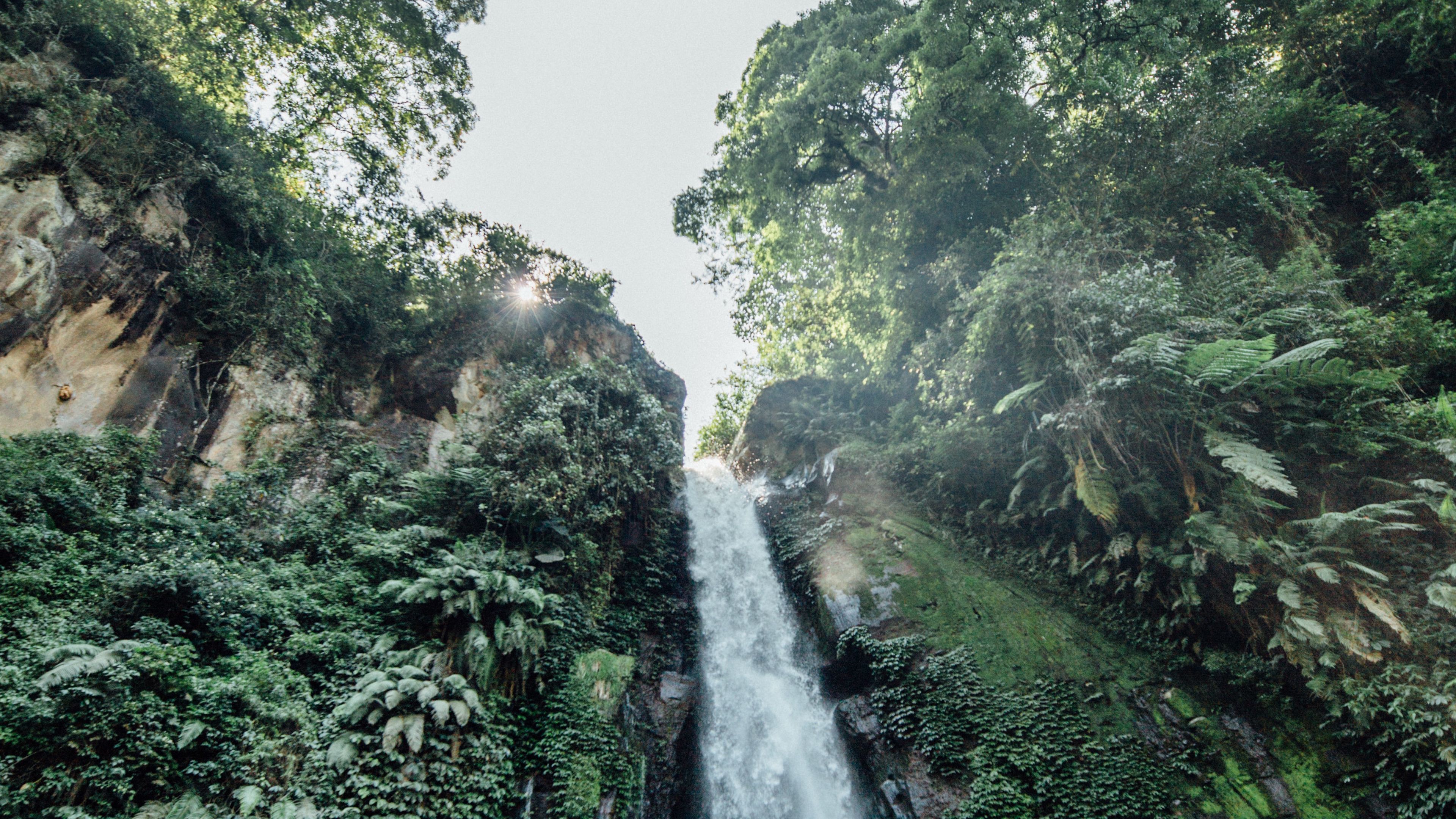 waterfall, cliff, trees, bushes, vegetation, 4k, HD Wallpaper