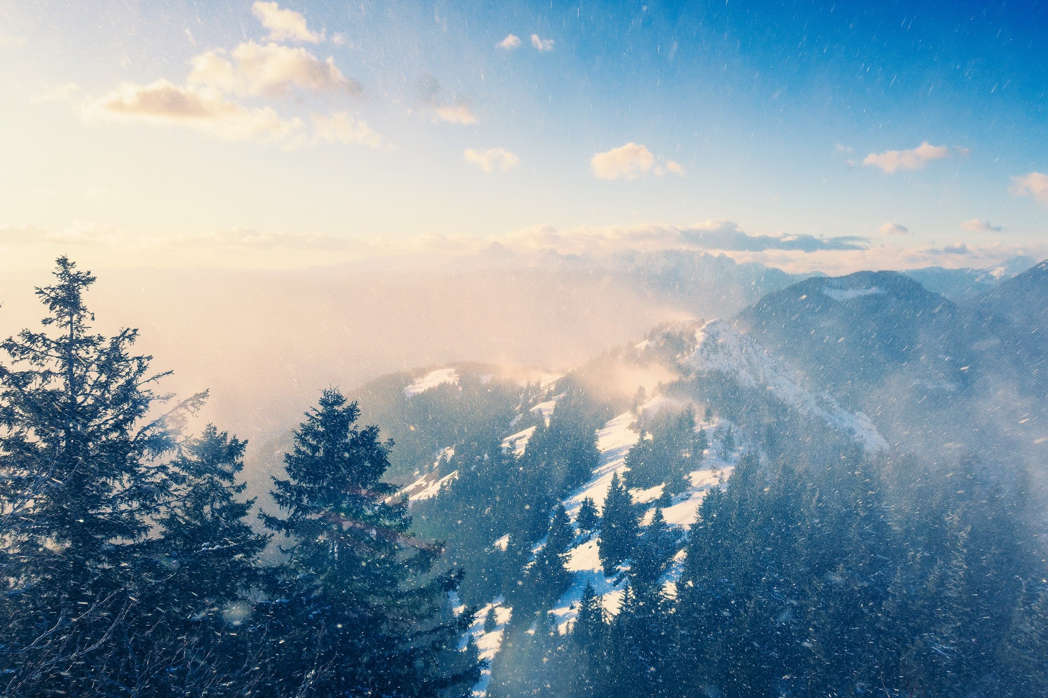 landscape, trees, nature, winter, HD Wallpaper