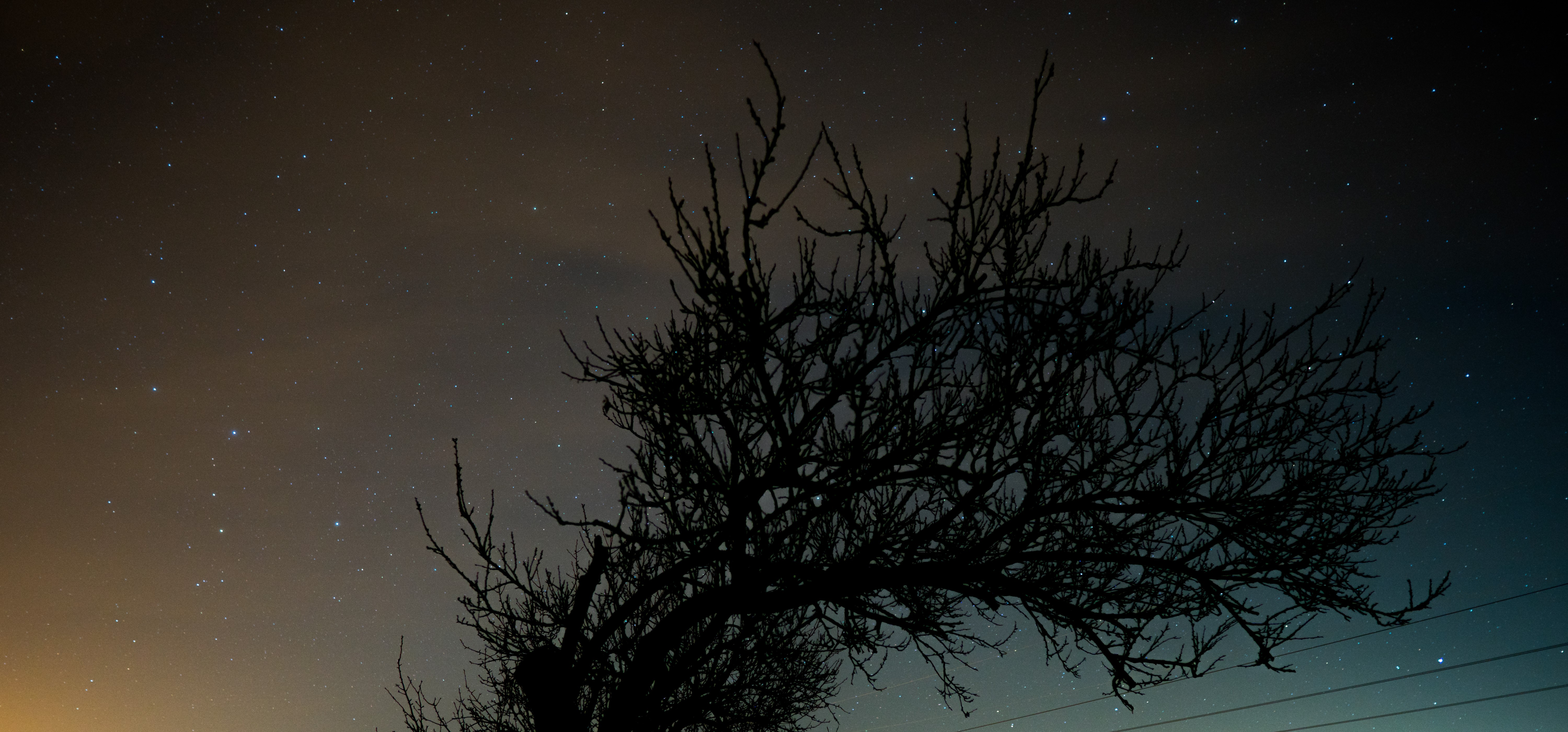 night, landscape, sky, dark, trees, stars, HD Wallpaper