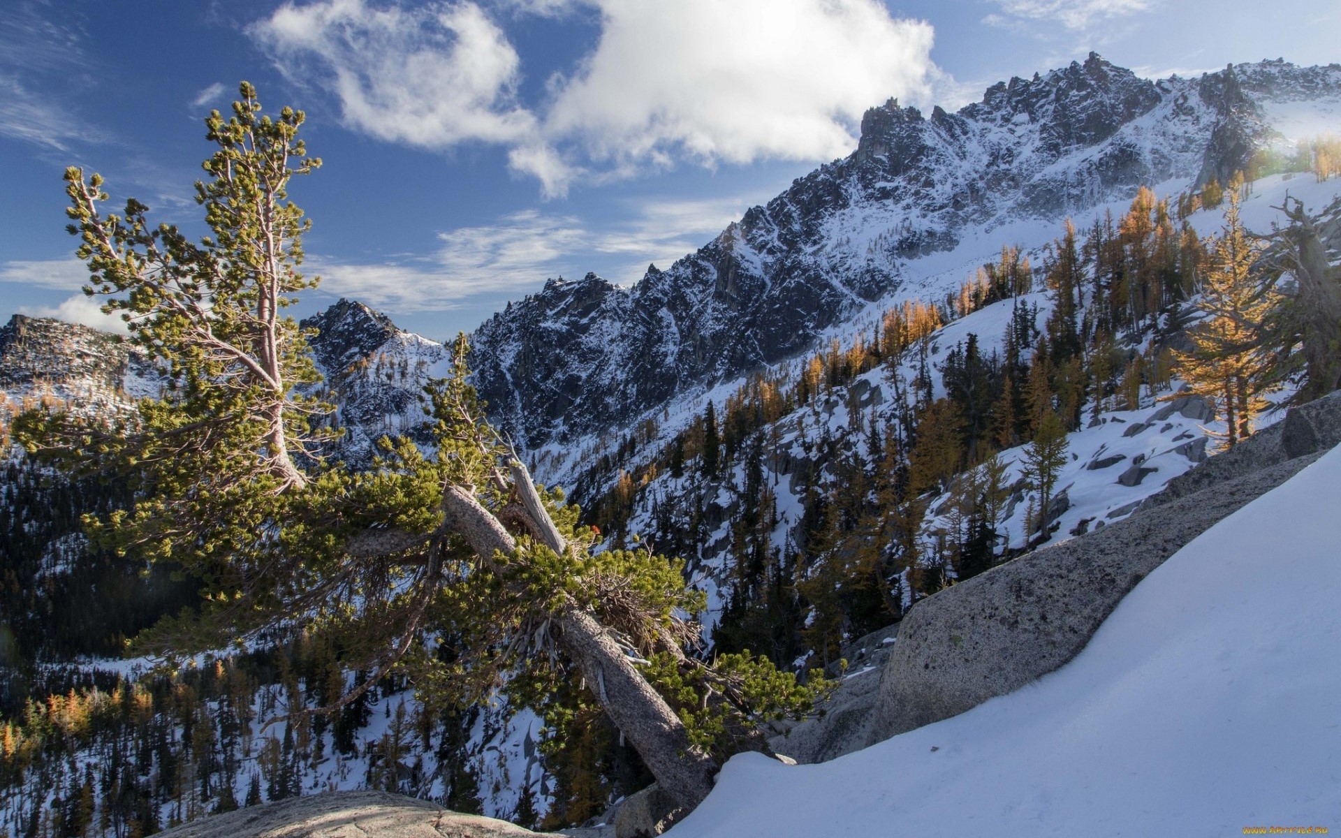 nature, trees, mountains, winter, snow, HD Wallpaper