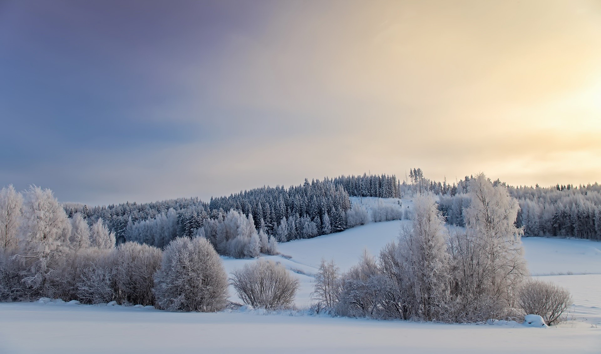nature, winter, landscape, snow, HD Wallpaper