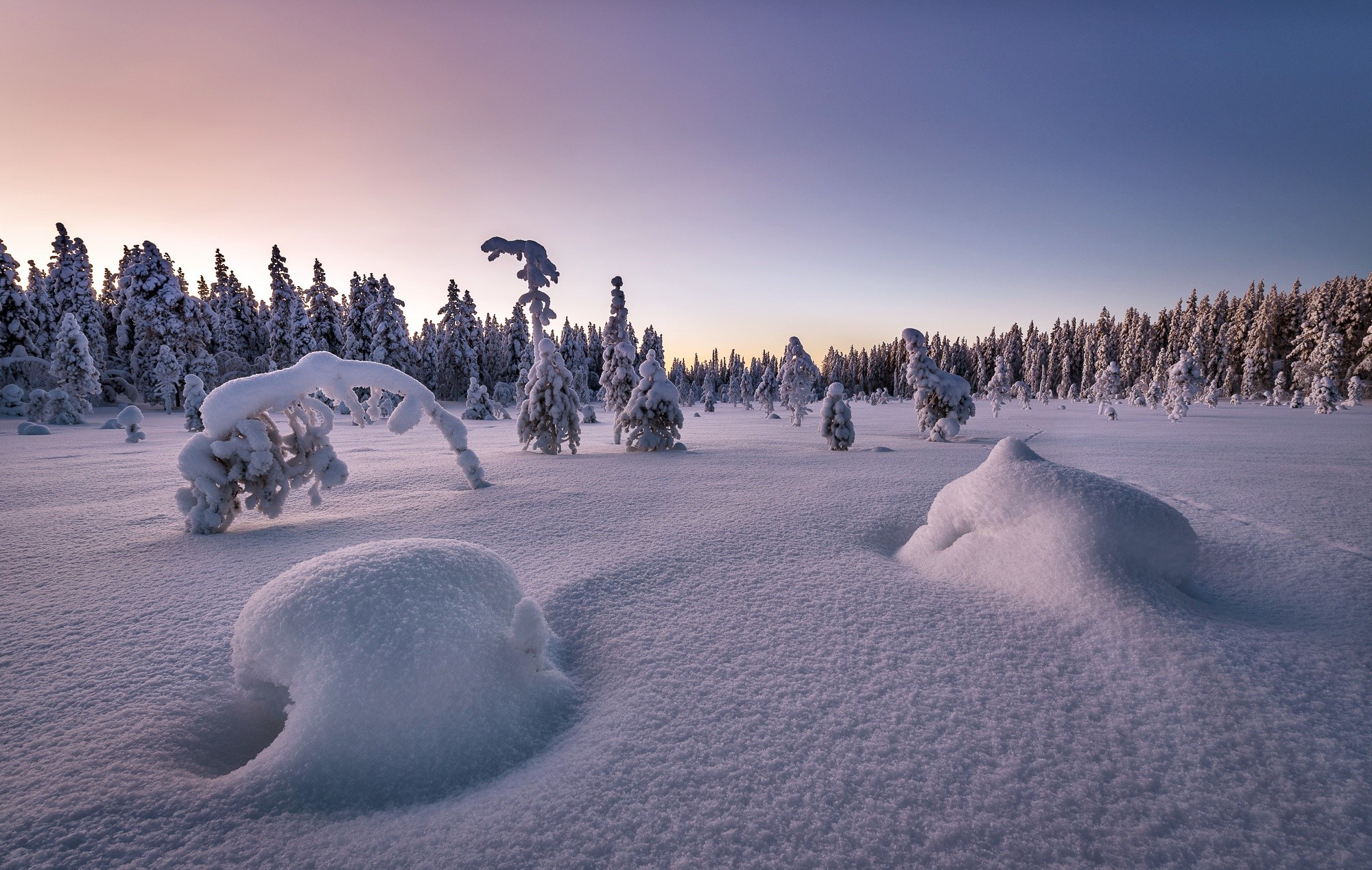 nature, landscape, snow, winter, trees, HD Wallpaper