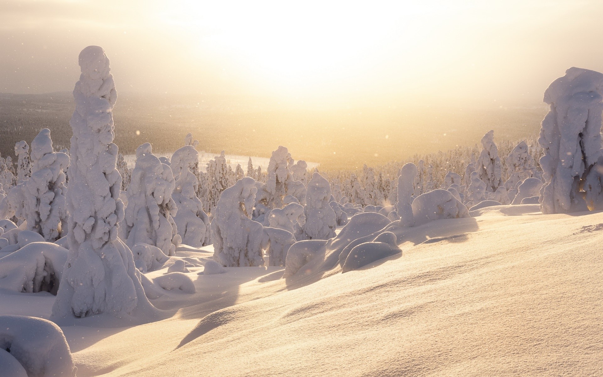 sunlight, winter, nature, landscape, snow, HD Wallpaper